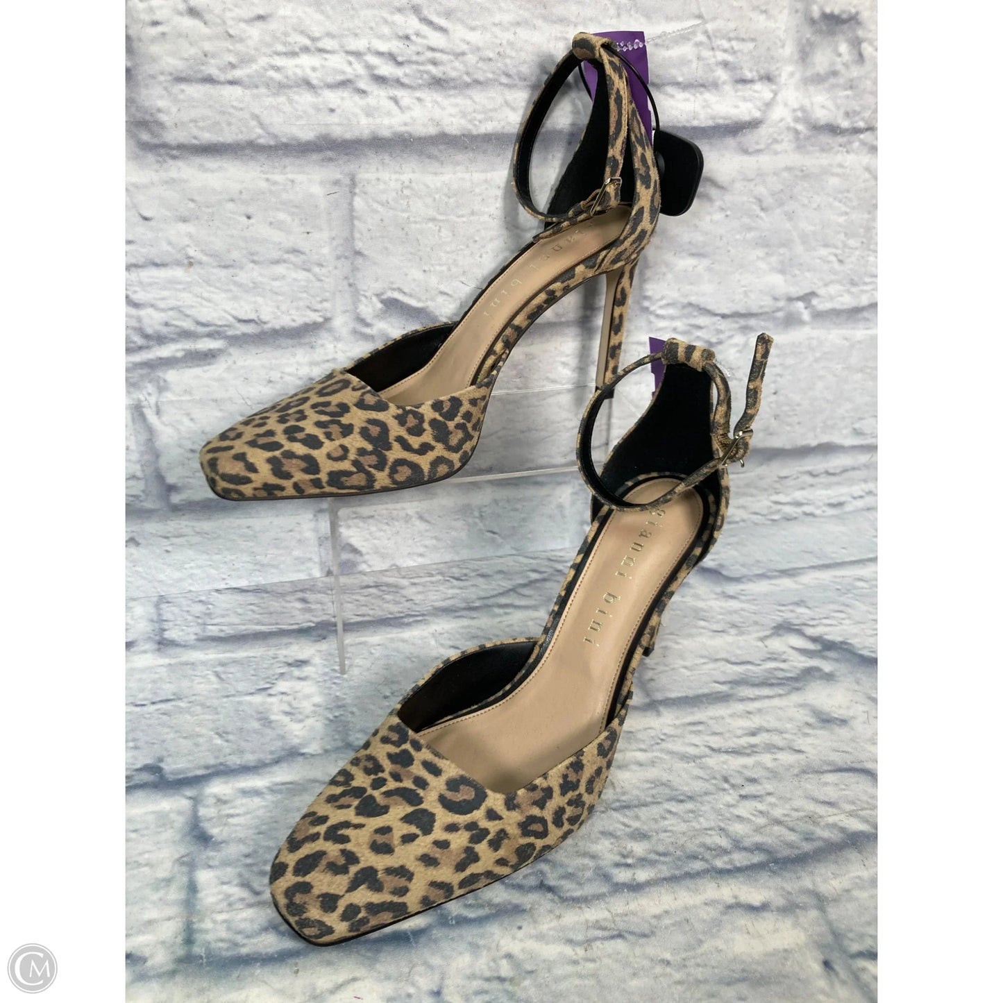 Shoes Heels Stiletto By Gianni Bini In Animal Print, Size: 9.5