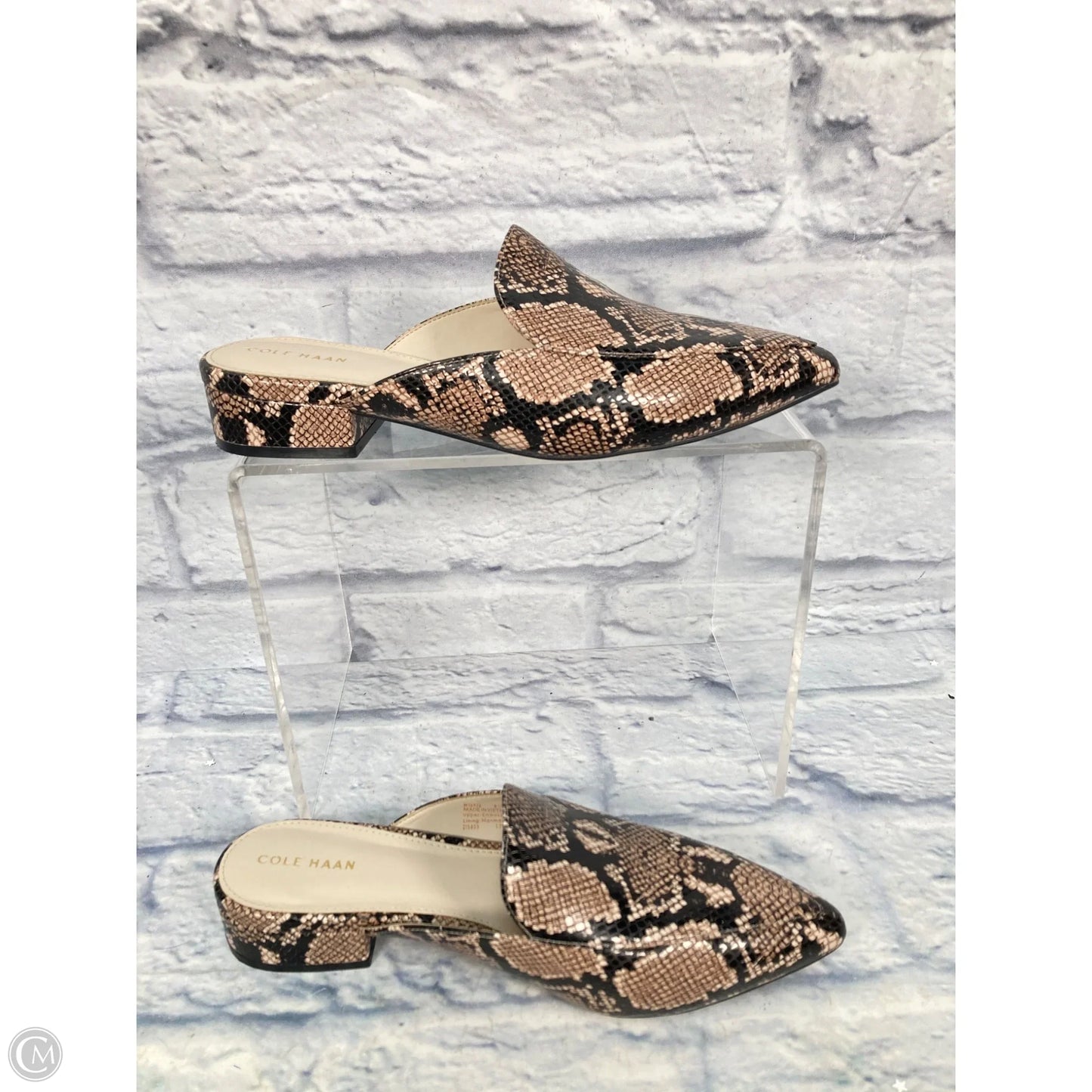 Shoes Flats By Cole-haan In Animal Print, Size: 8.5