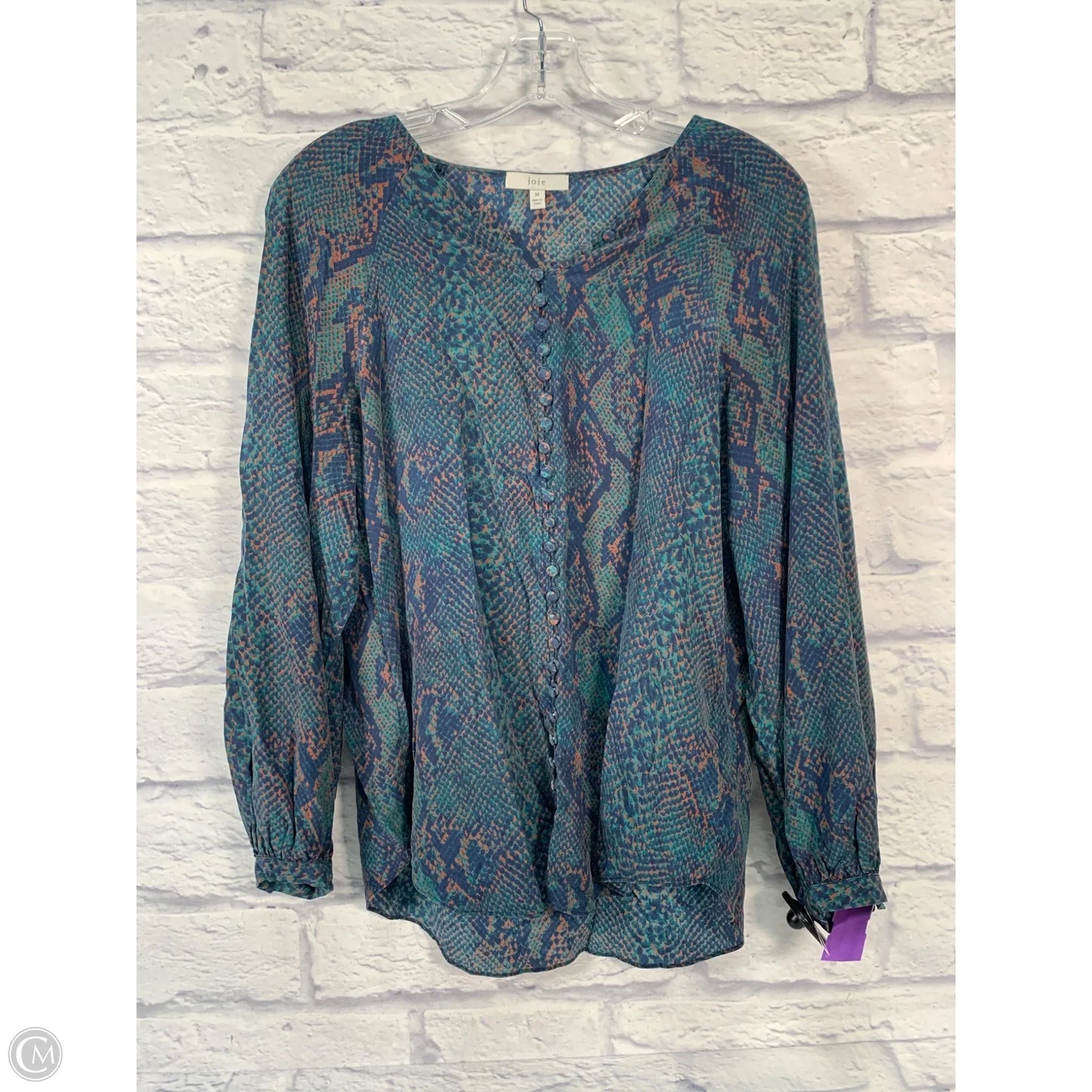 Blouse Long Sleeve By Joie In Blue & Green, Size: M