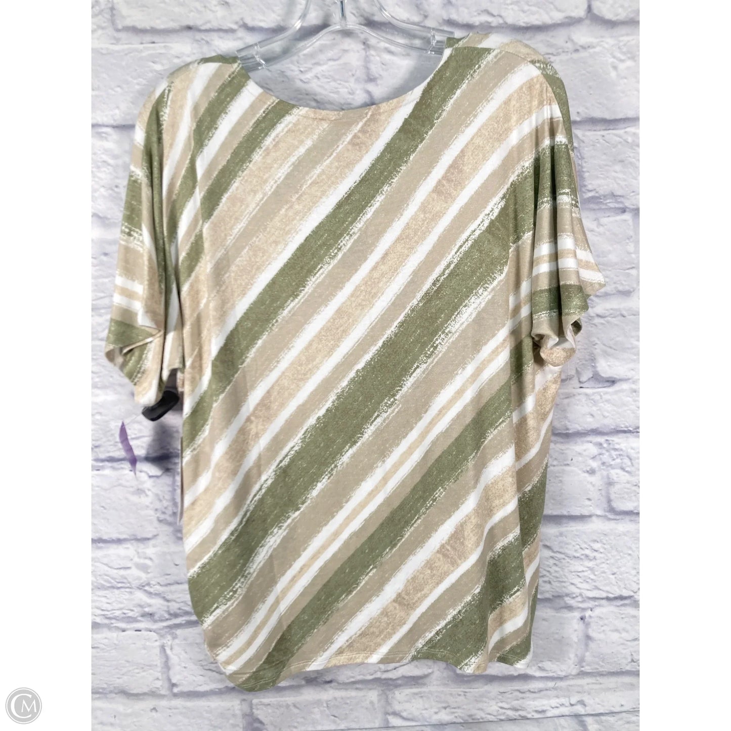 Top Short Sleeve By Chicos In Cream & Green, Size: L
