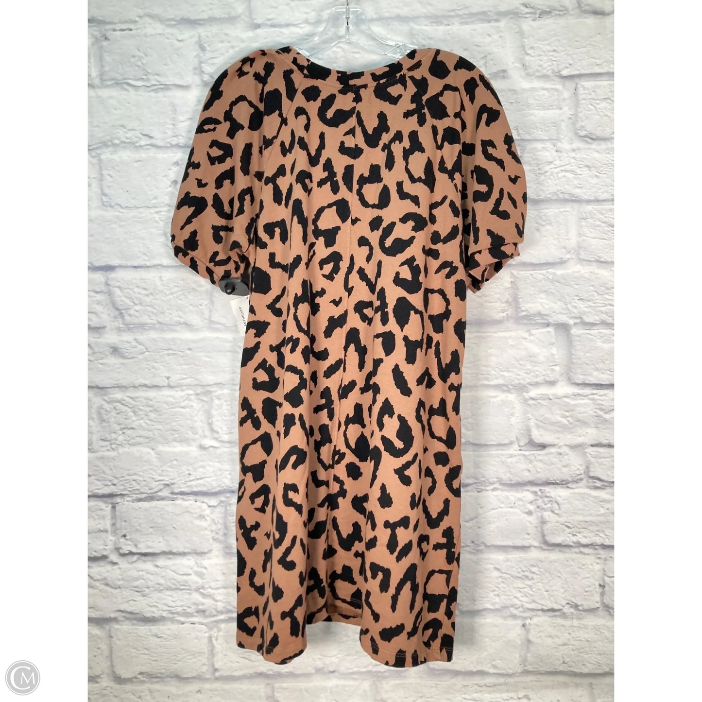 Dress Casual Short By Velvet By Graham & Spencer In Black & Brown, Size: M