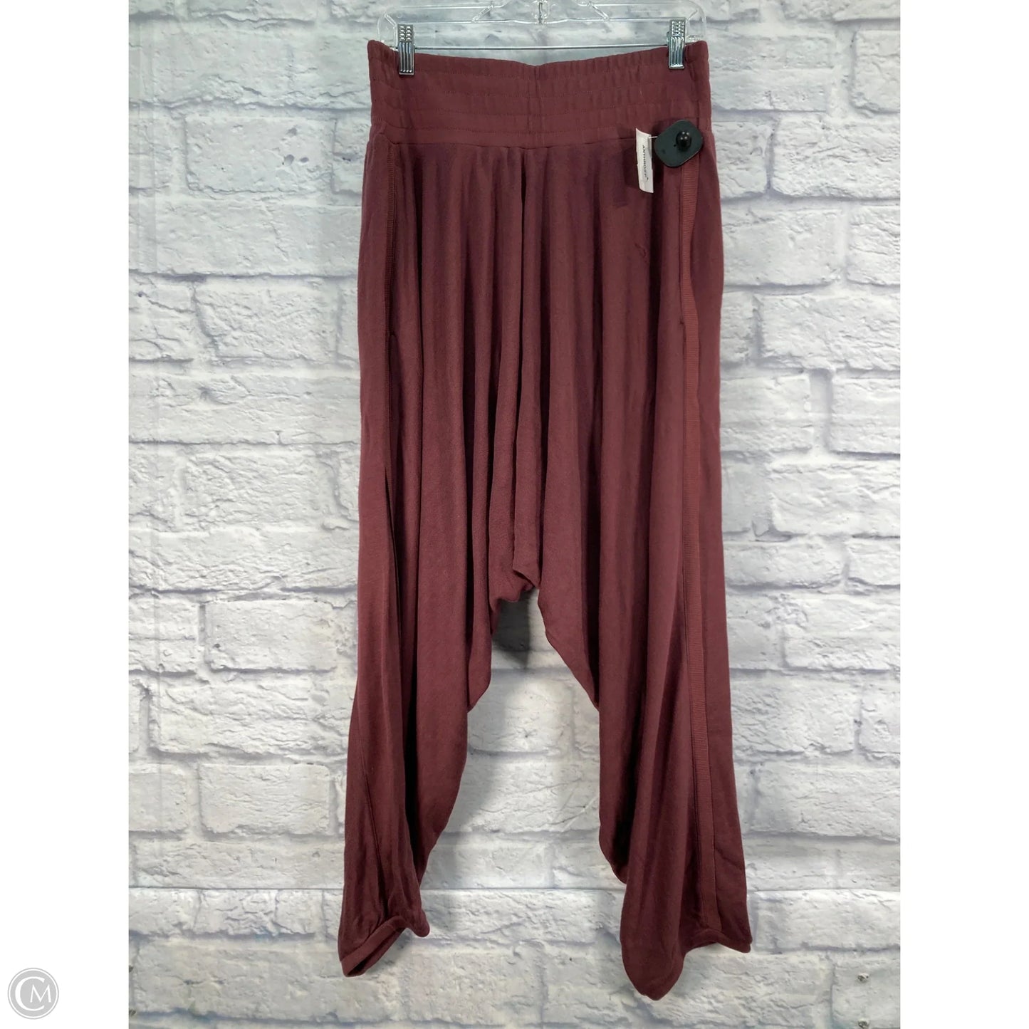 Pants Other By Free People In Maroon, Size: L