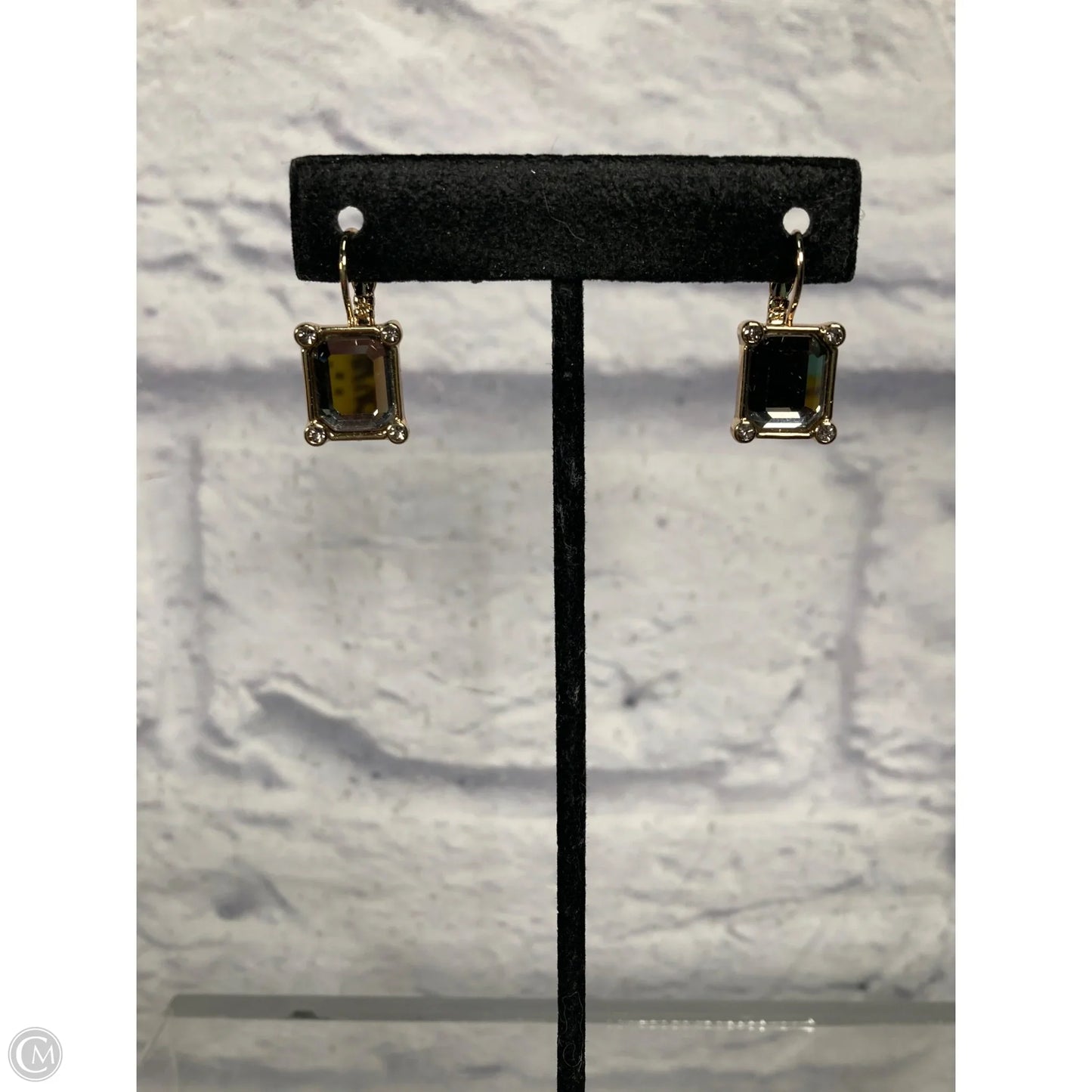 Earrings Hoop By White House Black Market