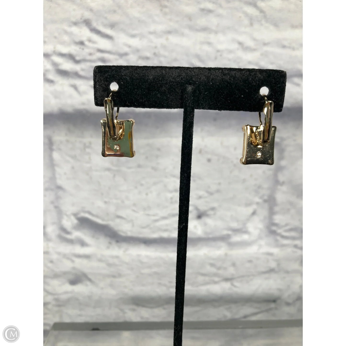 Earrings Hoop By White House Black Market