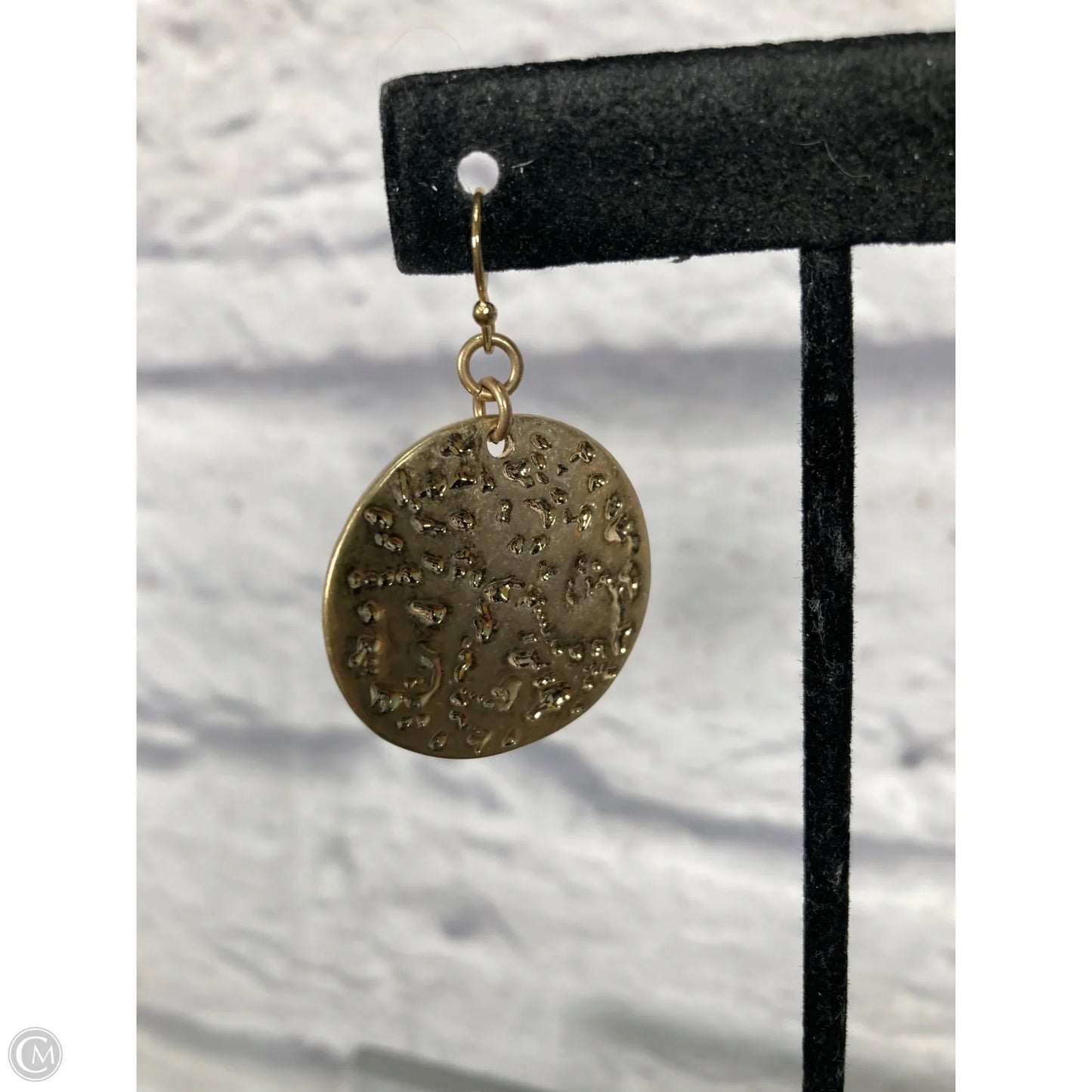 Earrings Dangle/drop By Chicos