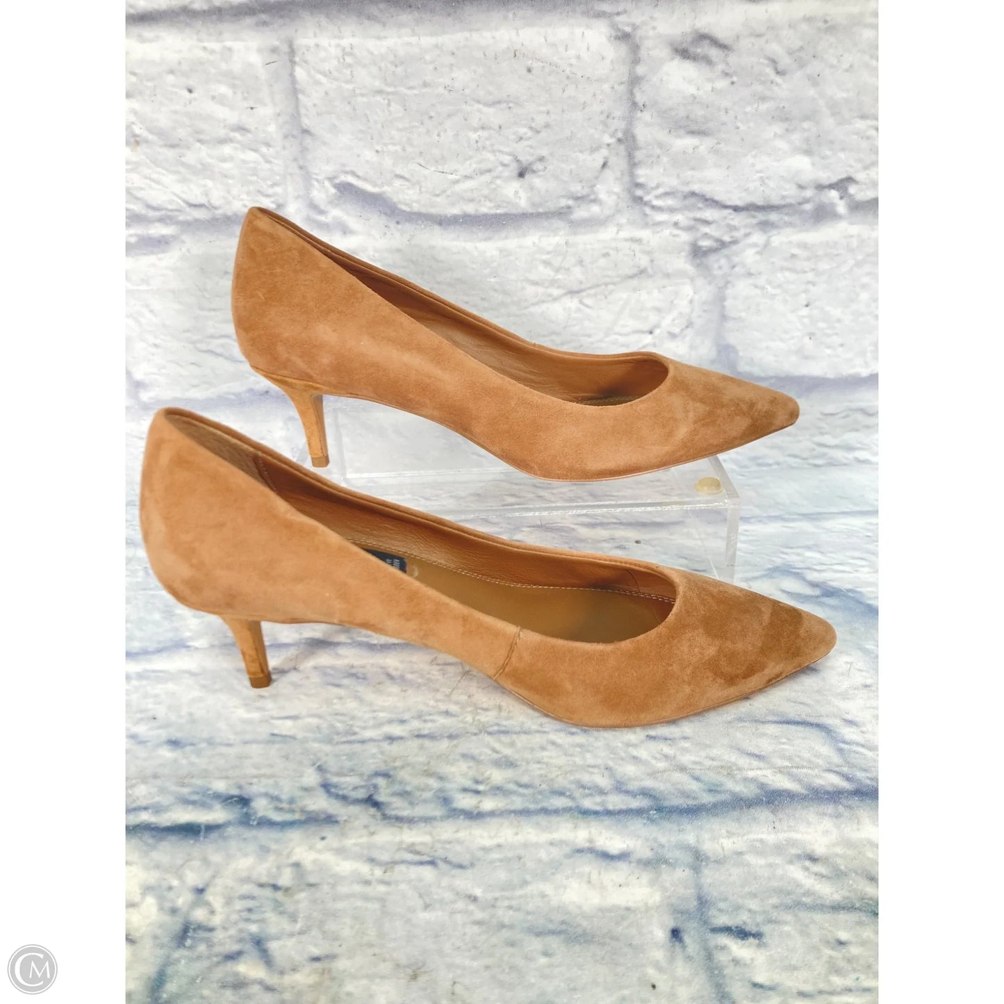 Shoes Heels Kitten By Steve Madden In Brown, Size: 8