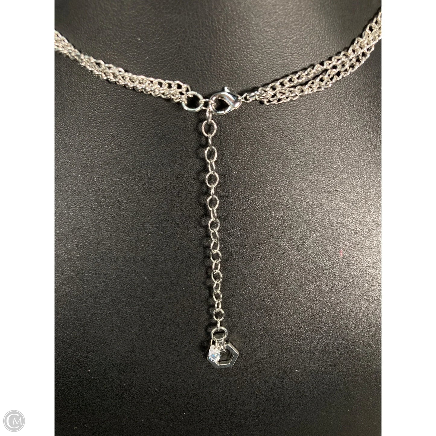 Necklace Layered By Clothes Mentor