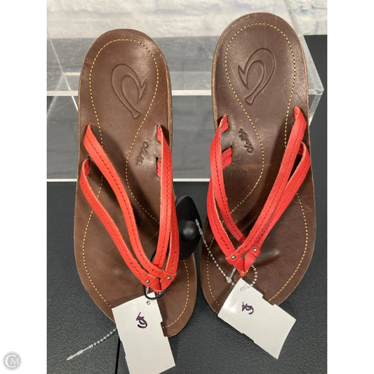 Sandals Flats By Olukai In Brown, Size: 6