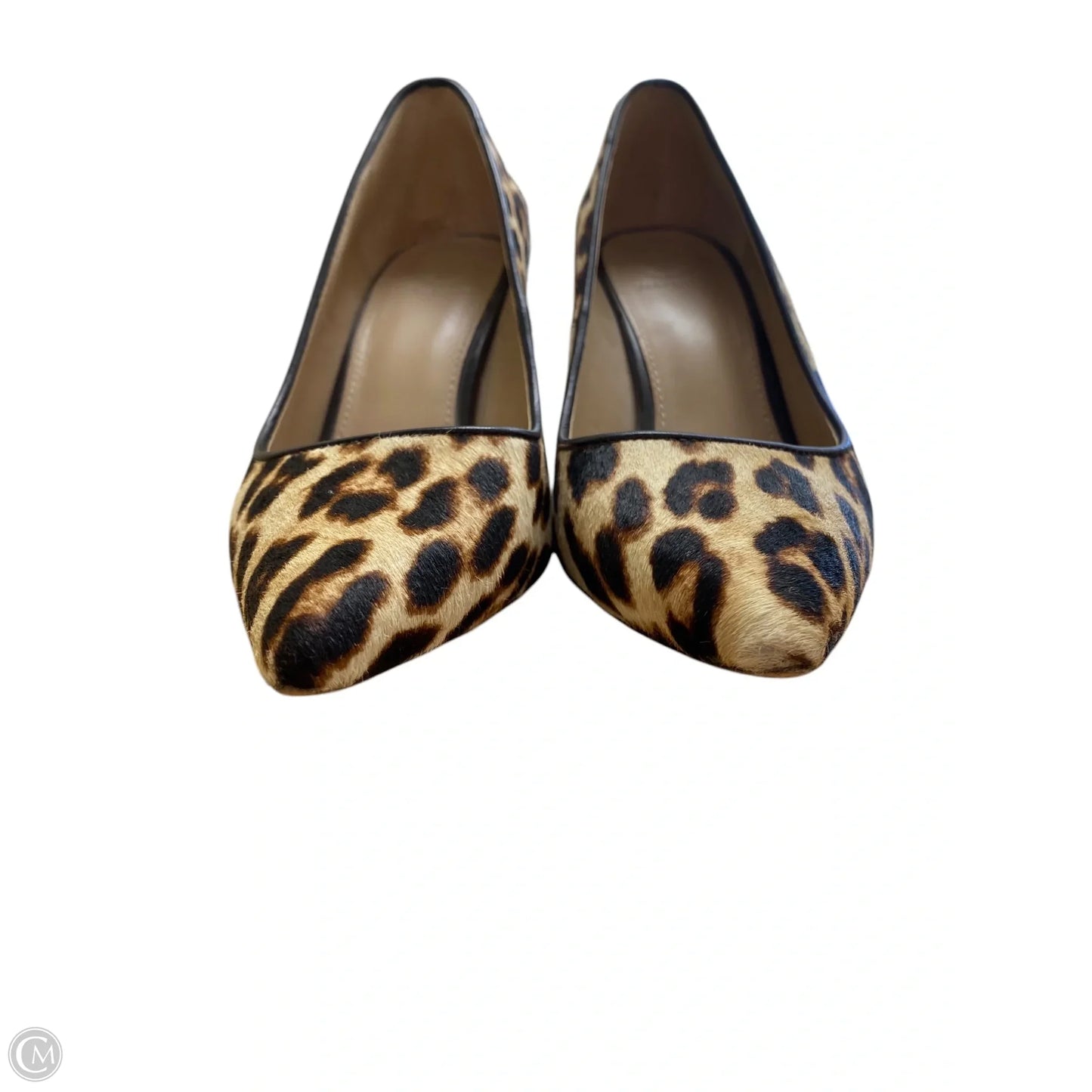 Shoes Designer By Tory Burch In Animal Print, Size: 7