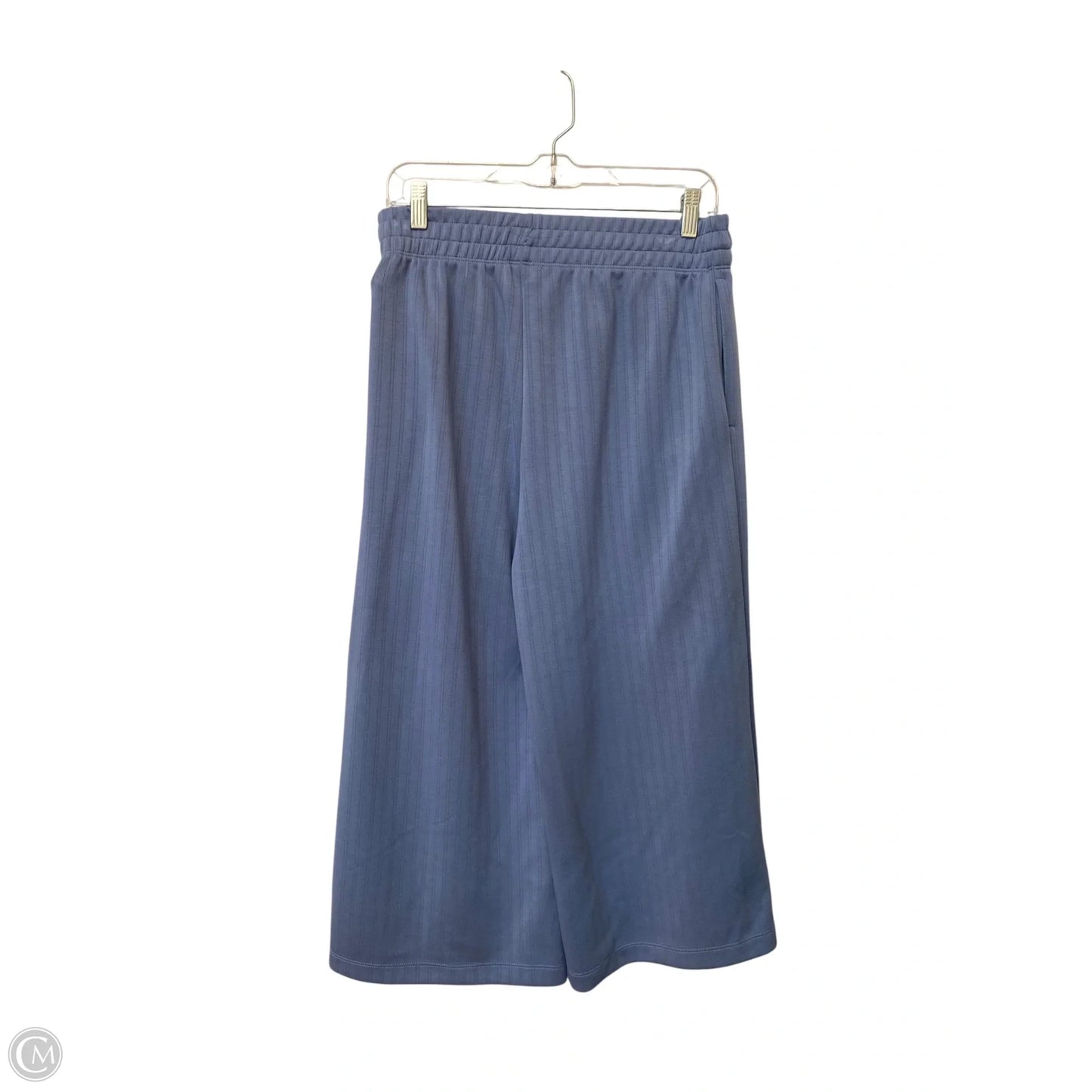 Pants Set 2pc By Danskin In Blue, Size: M