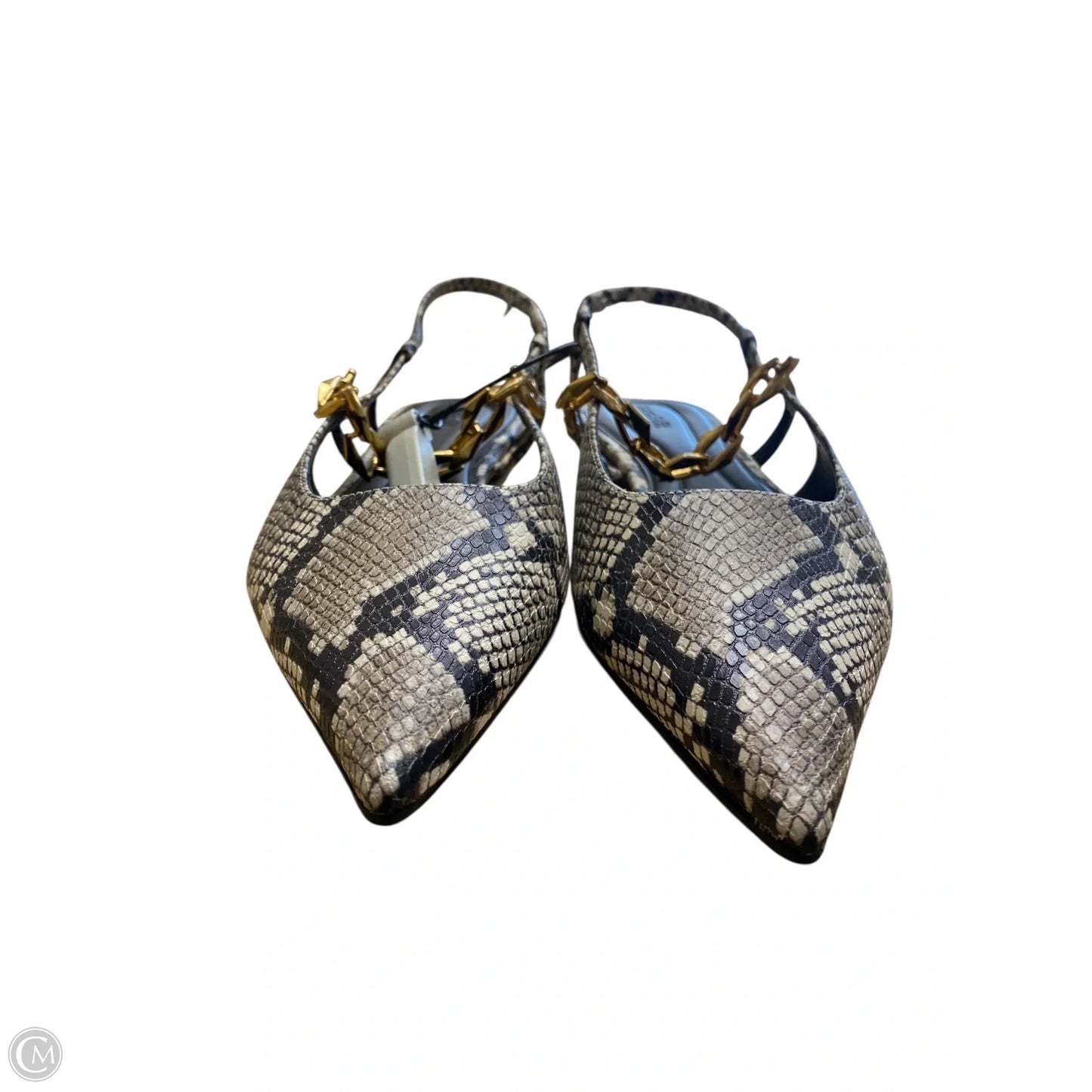 Shoes Flats By Open Edit In Snakeskin Print, Size: 9.5