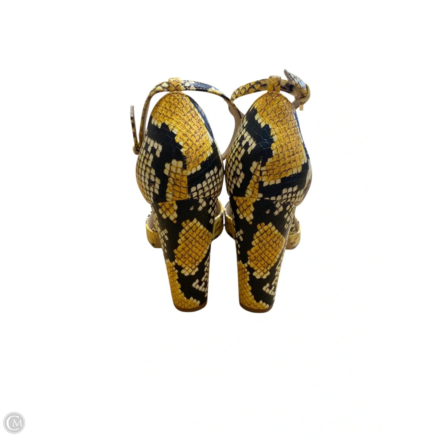 Shoes Heels Block By Aldo In Snakeskin Print, Size: 8