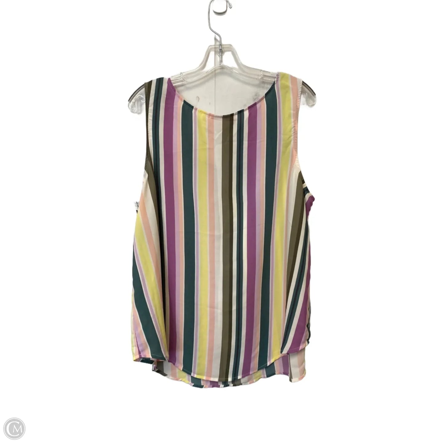 Top Sleeveless By Evri In Striped Pattern, Size: 1x