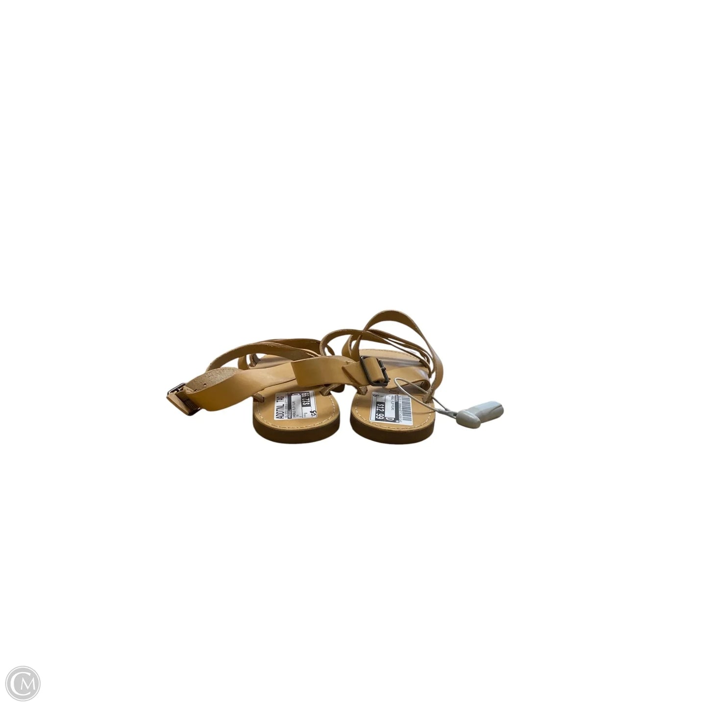 Sandals Flip Flops By Madewell In Tan, Size: 8