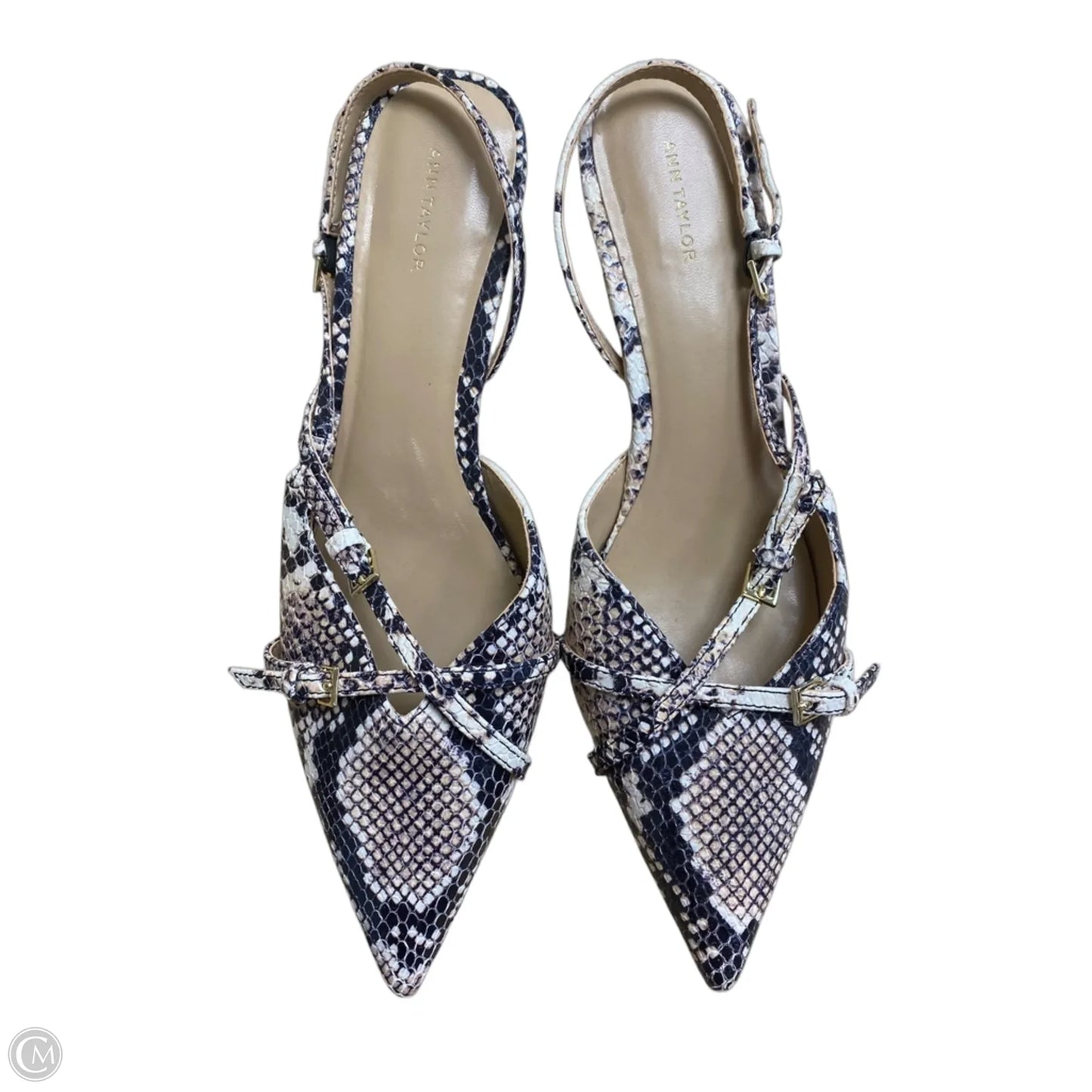 Shoes Heels Kitten By Ann Taylor In Animal Print, Size: 8