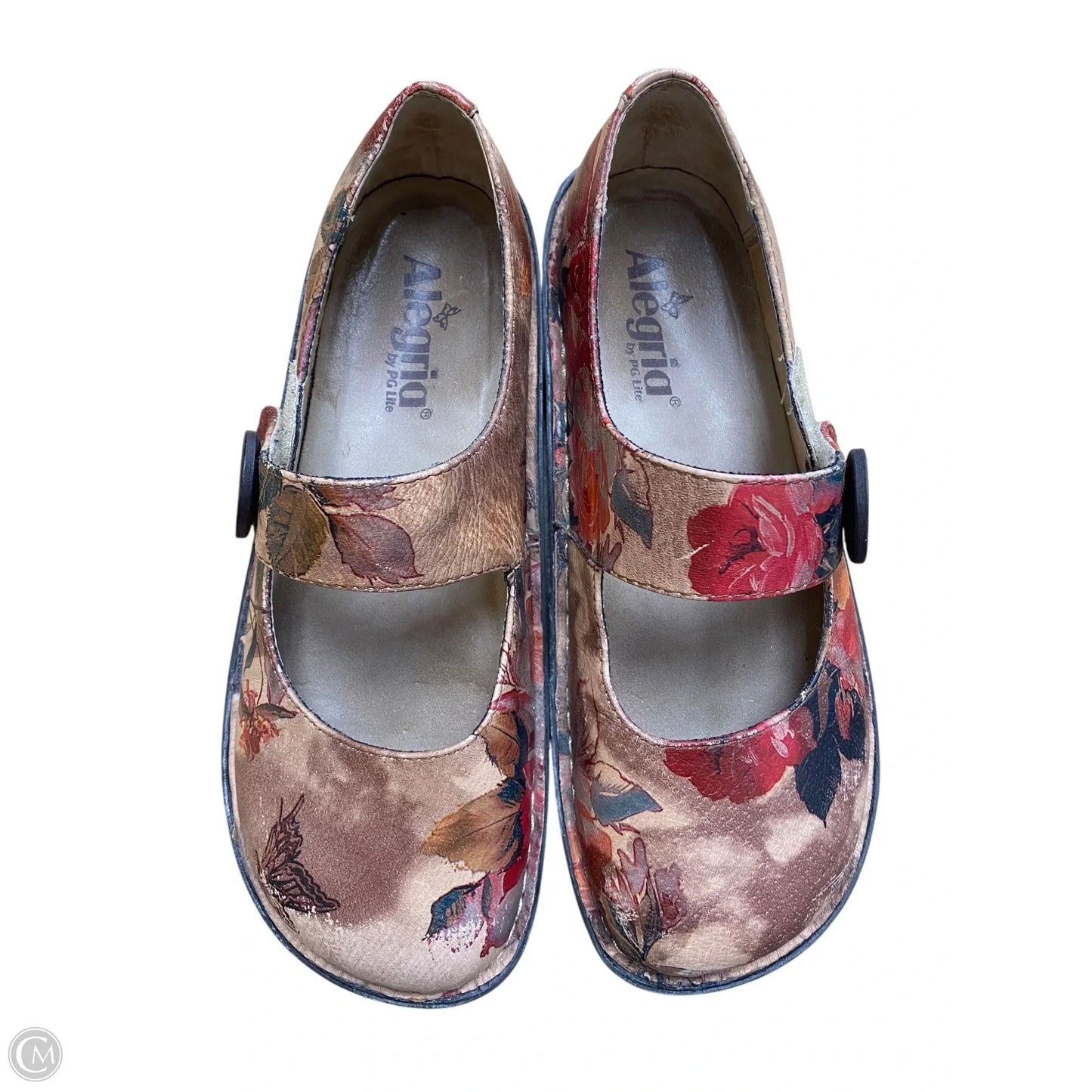 Shoes Flats By Alegria In Floral Print, Size: 8