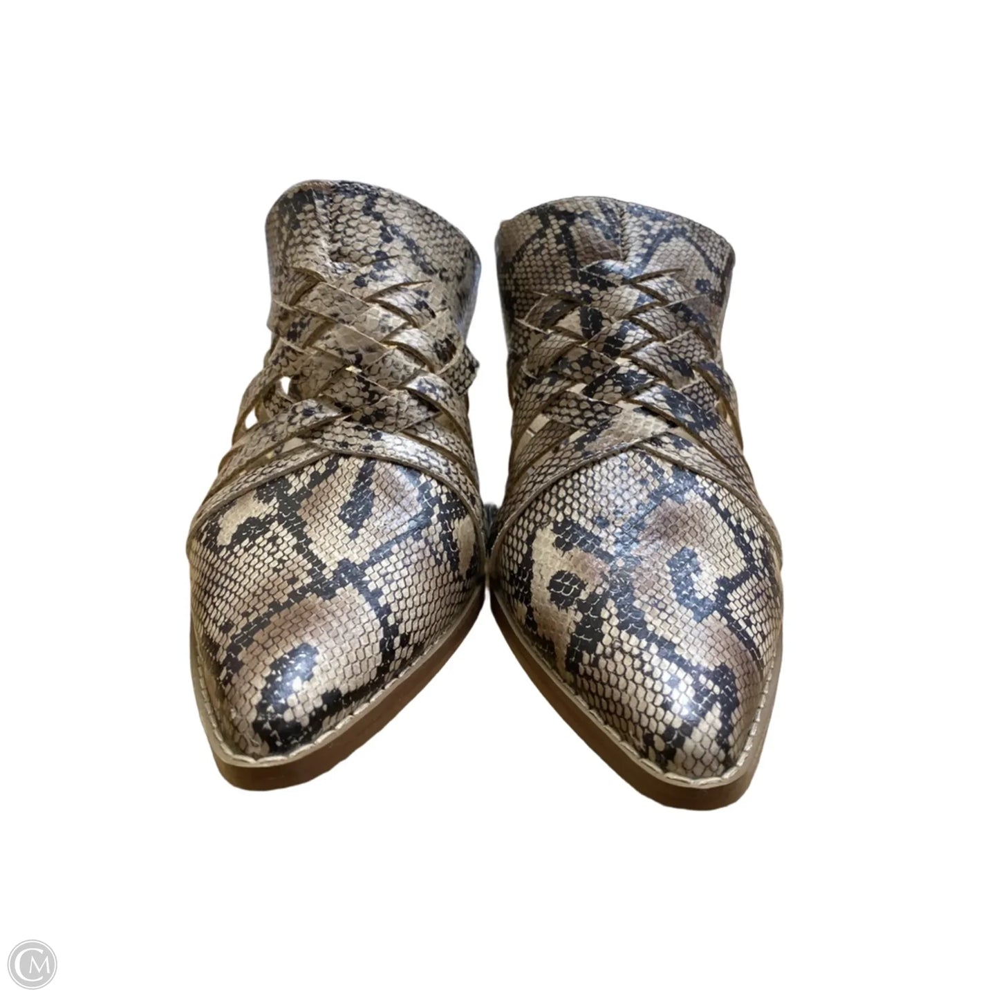 Shoes Heels Block By Coconuts In Snakeskin Print, Size: 8.5