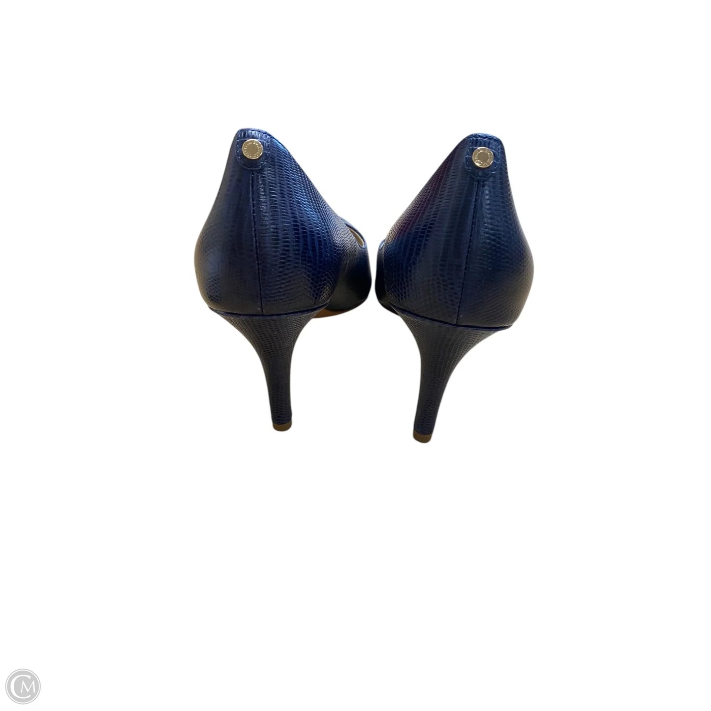Shoes Heels Stiletto By Cole-haan In Blue, Size: 11
