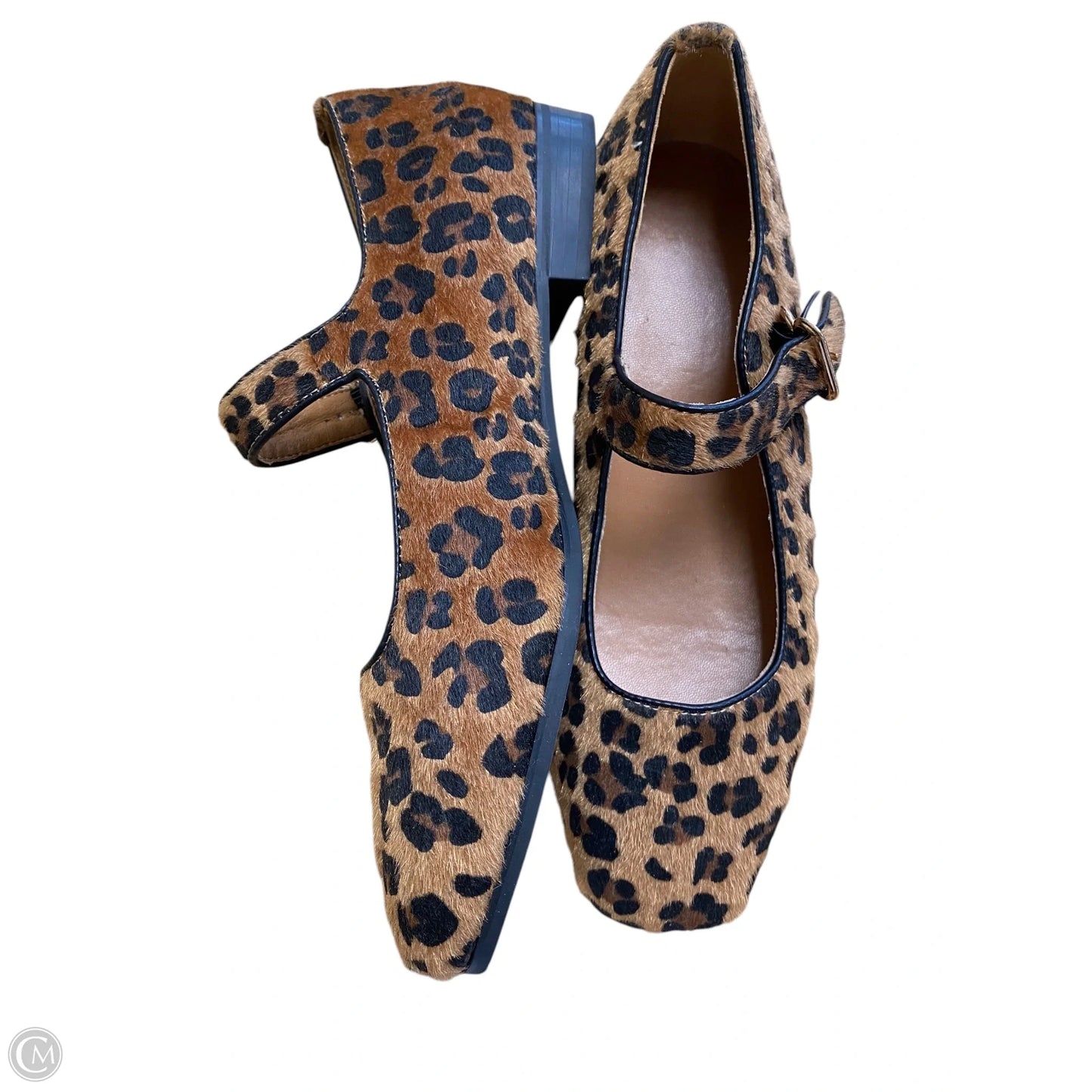 Shoes Flats By Clothes Mentor In Animal Print, Size: 8