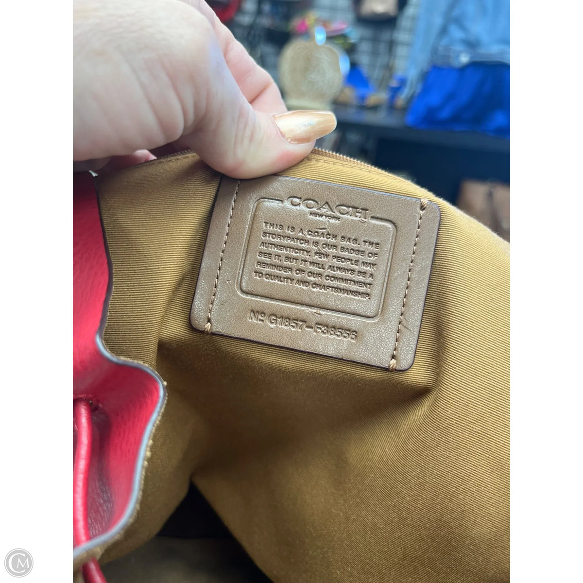 Backpack Designer By Coach, Size: Medium