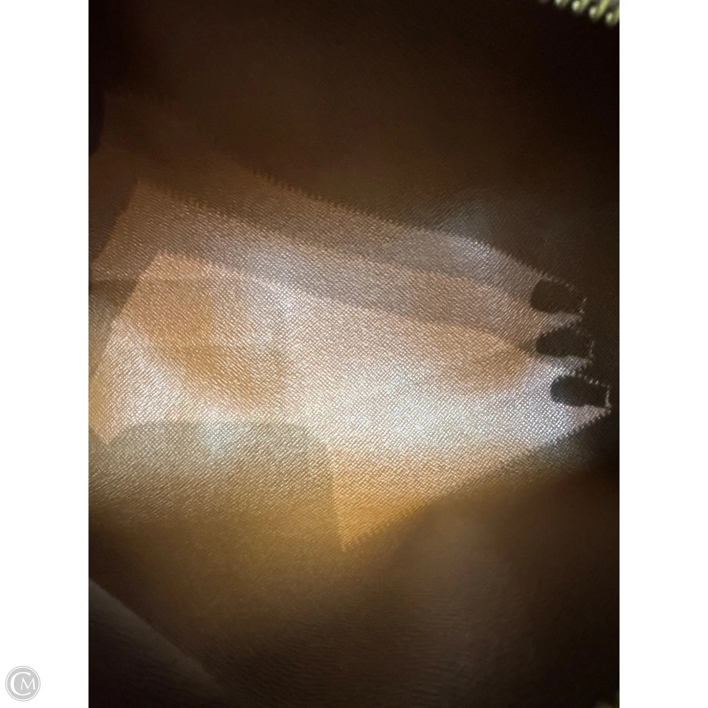 Handbag Luxury Designer By Louis Vuitton, Size: Medium