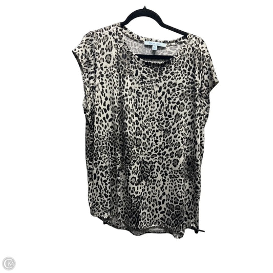 Top Short Sleeve By Blue Sol In Black & Grey, Size: 1x