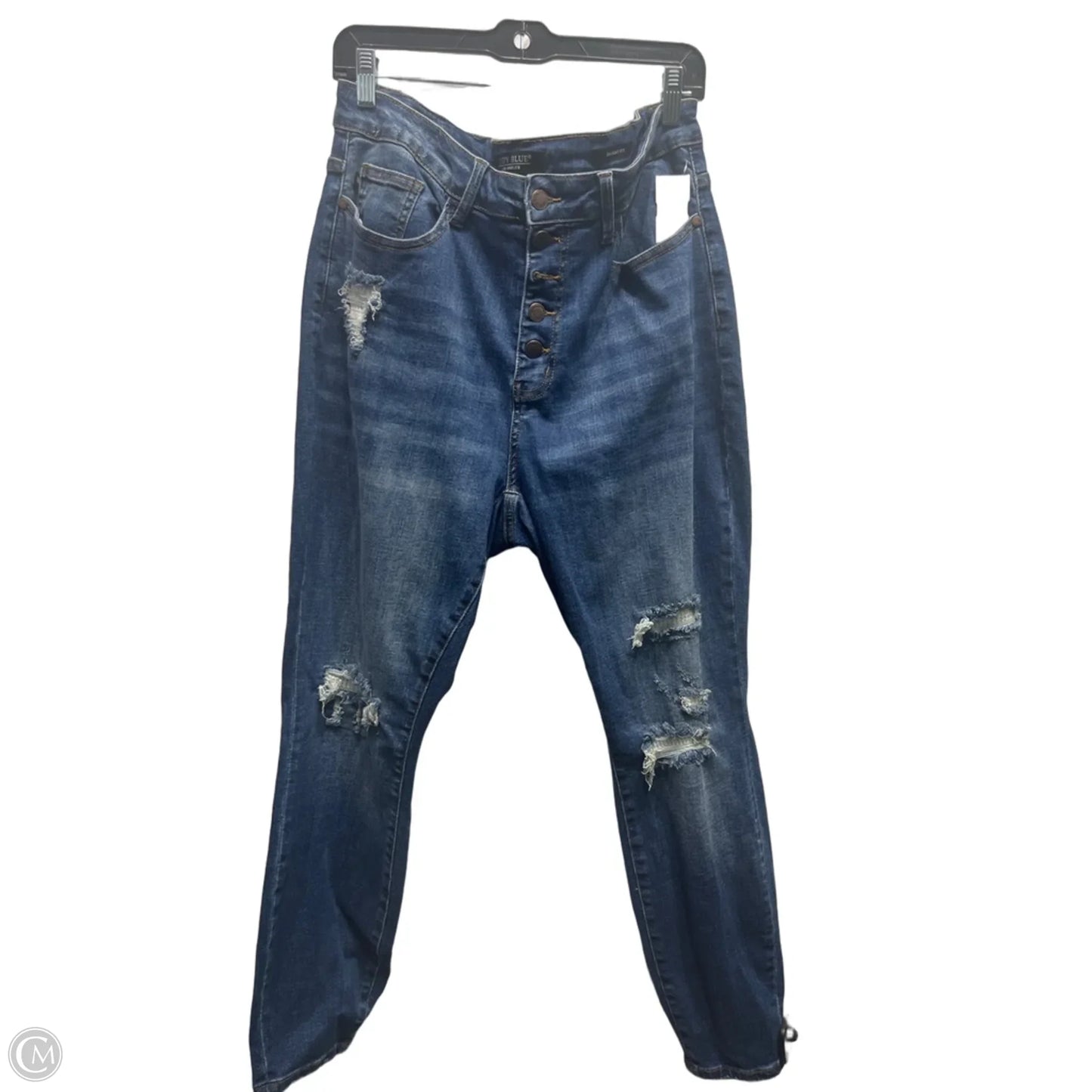 Jeans Skinny By Judy Blue In Blue Denim, Size: 18