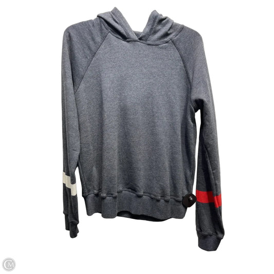 Sweatshirt Hoodie By Sundry In Grey, Size: M