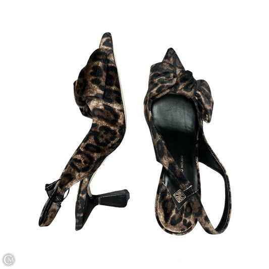 Shoes Heels Kitten By Antonio Melani In Black & Tan, Size: 8.5