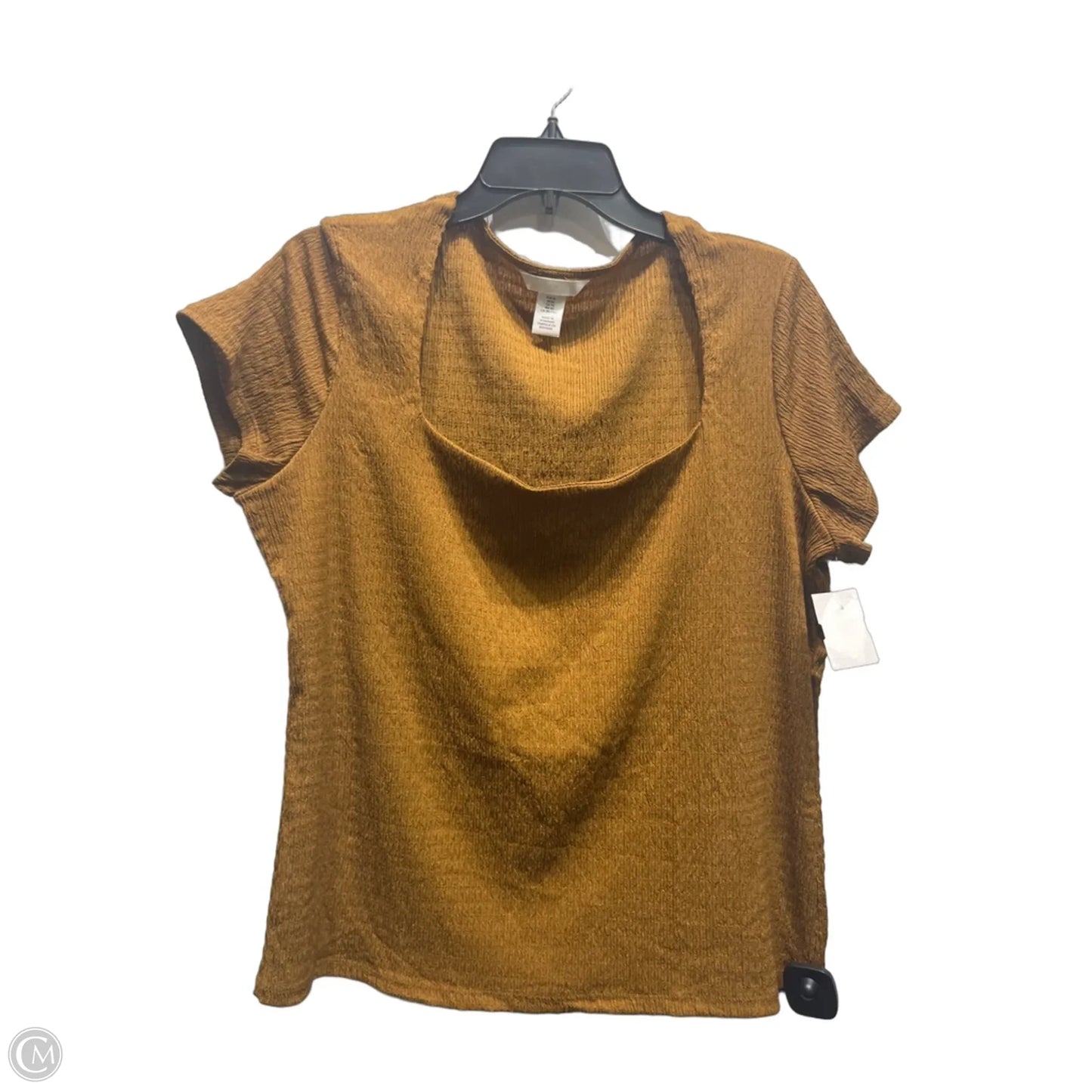 Top Short Sleeve By H&m In Brown, Size: Xl