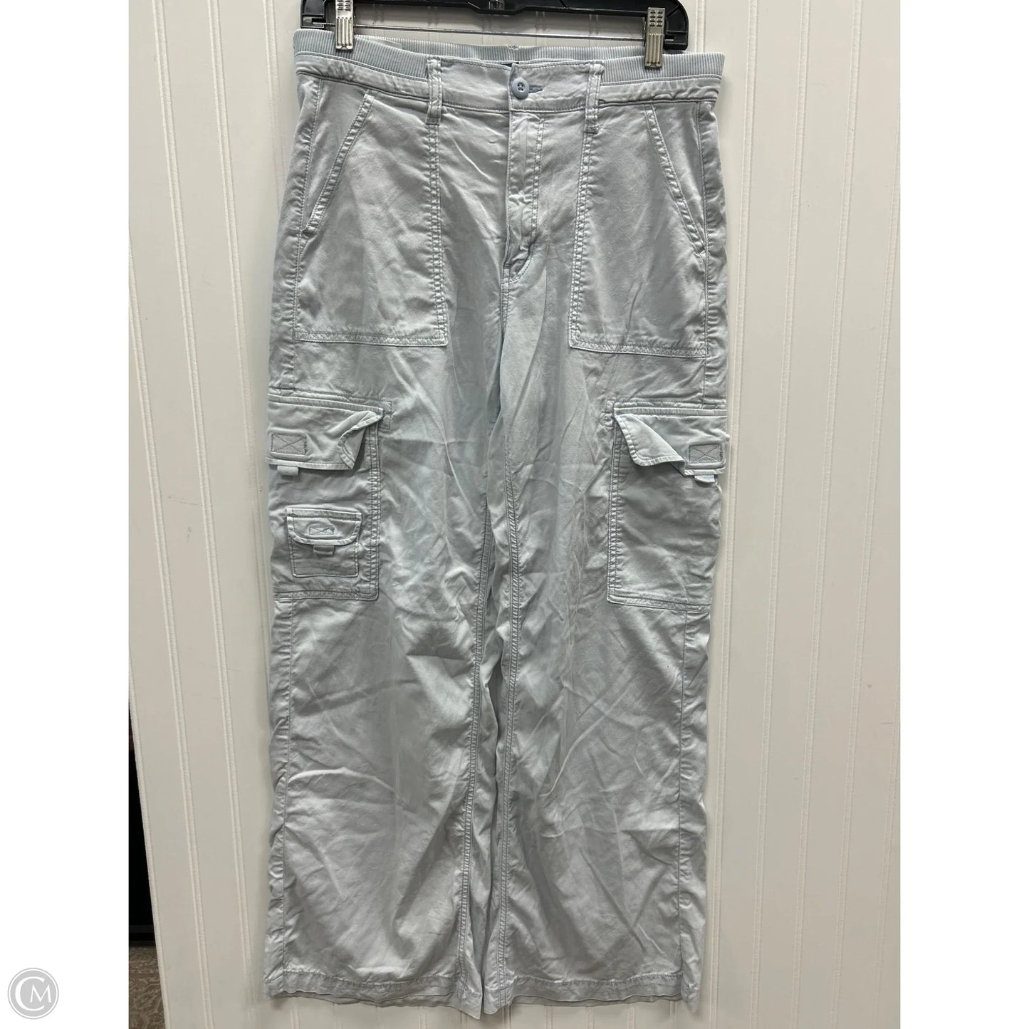 Pants Cargo & Utility By American Eagle In Blue, Size: 6