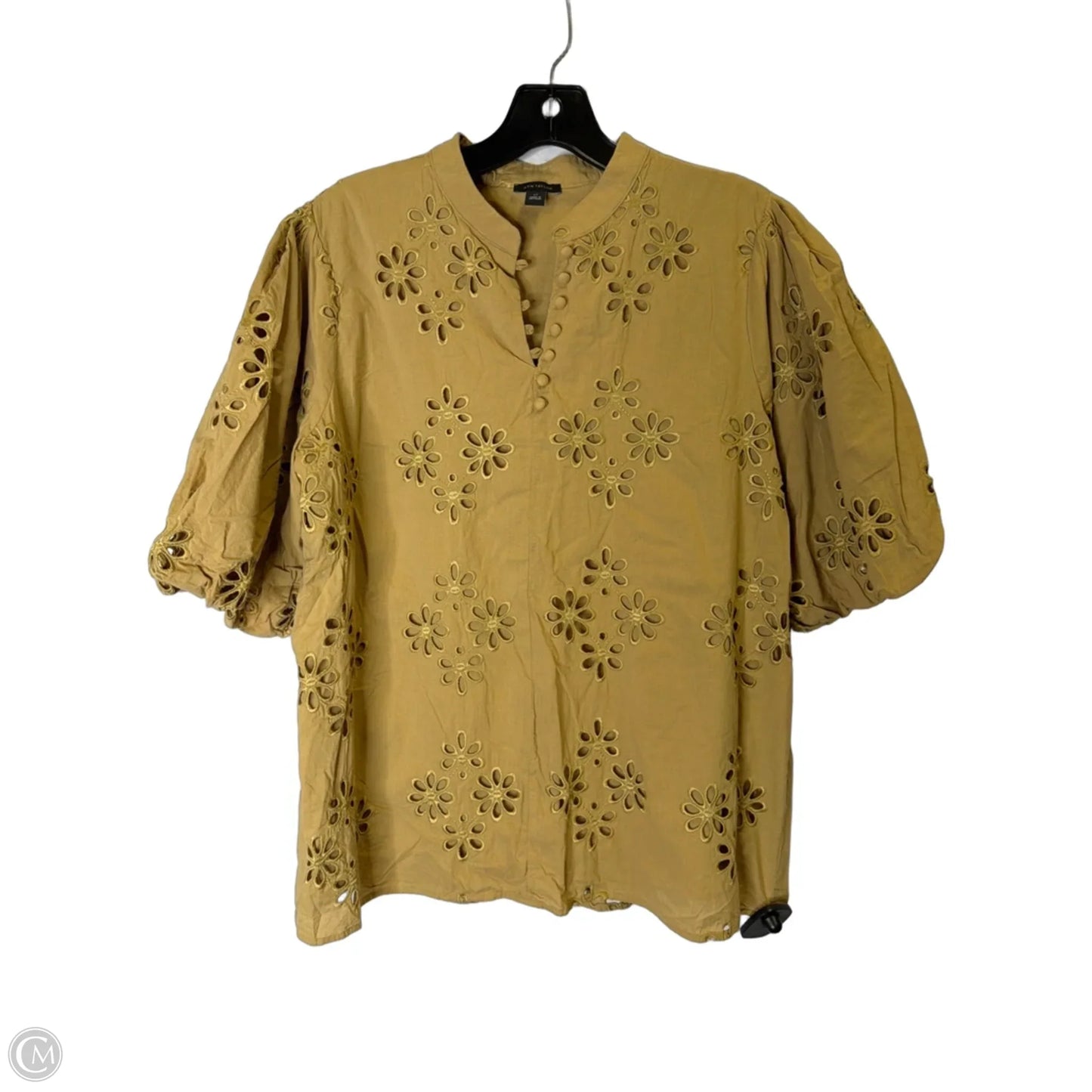 Top Short Sleeve By Ann Taylor In Brown, Size: L