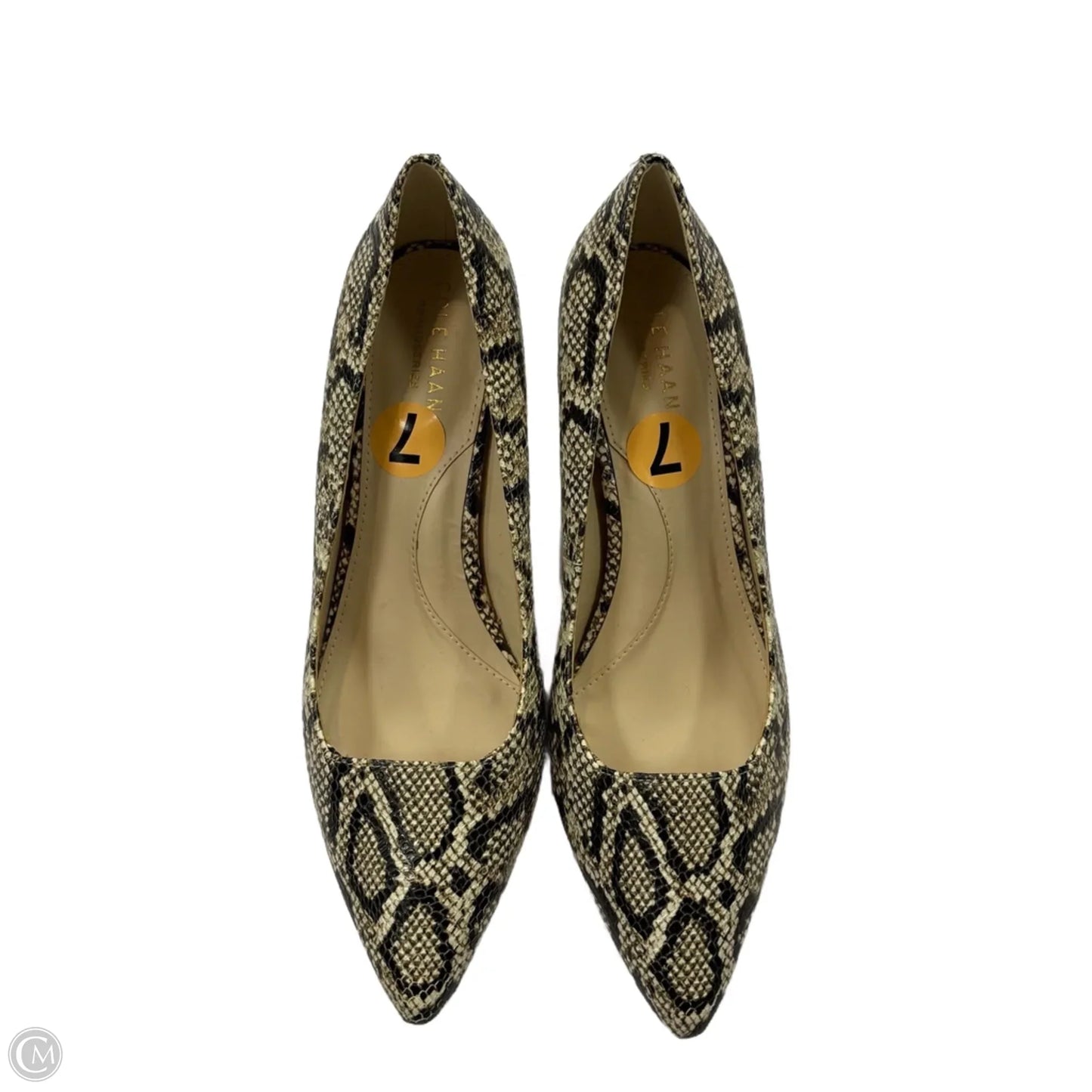 Shoes Heels Block By Cole-haan In Snakeskin Print, Size: 7