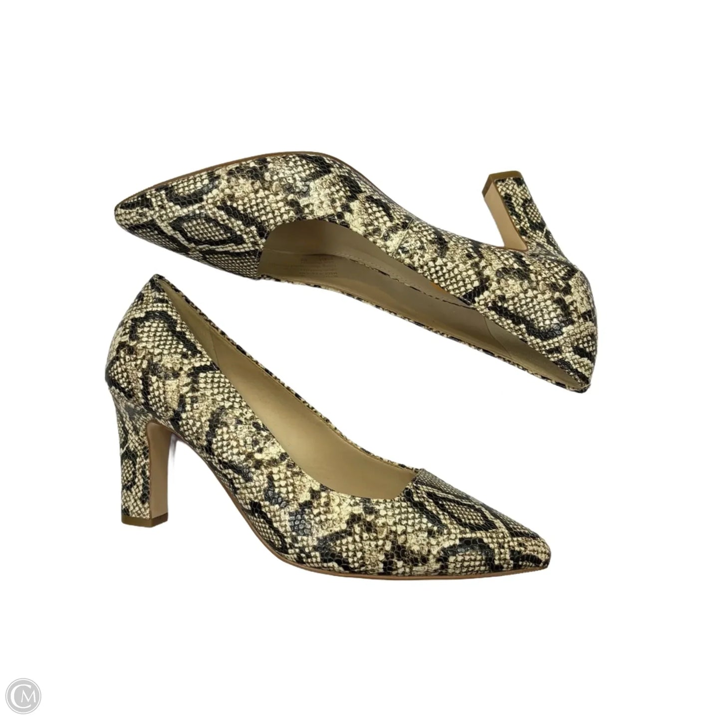 Shoes Heels Block By Cole-haan In Snakeskin Print, Size: 7