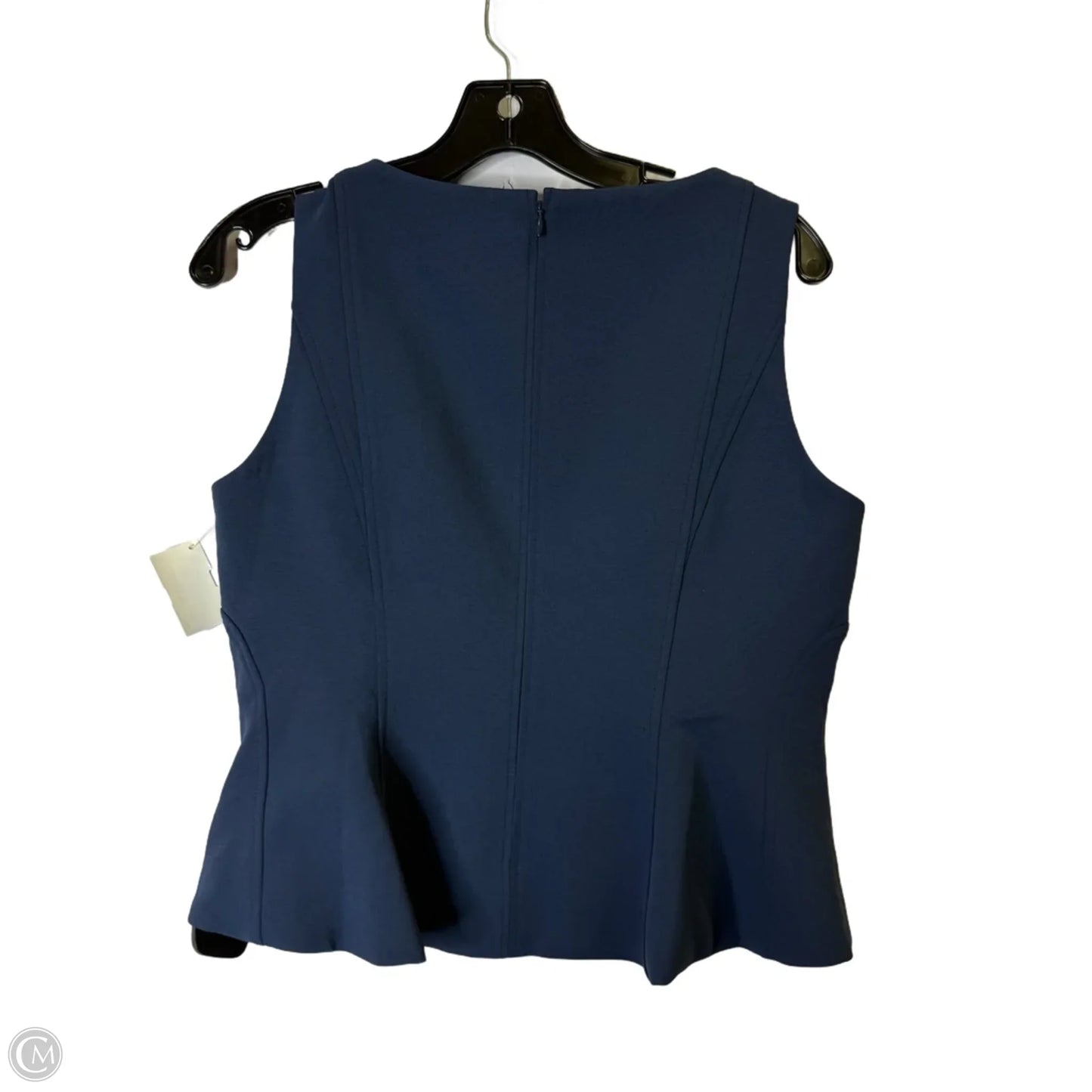 Top Sleeveless By White House Black Market In Blue, Size: 10