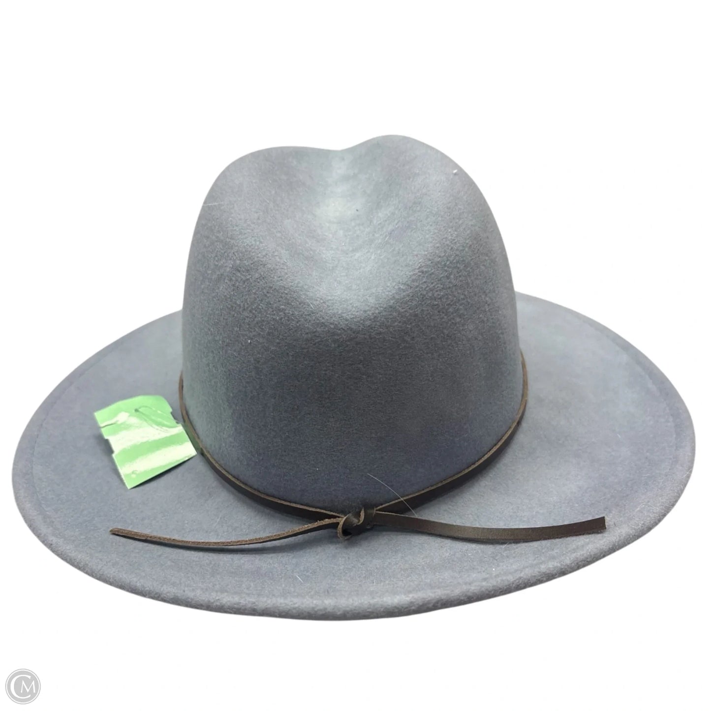 Hat Fedora By Anthropologie