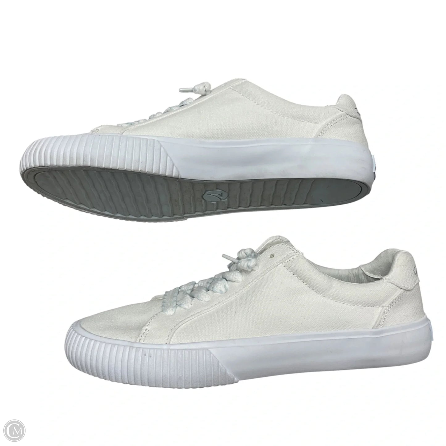 Shoes Sneakers By Sperry In White, Size: 8