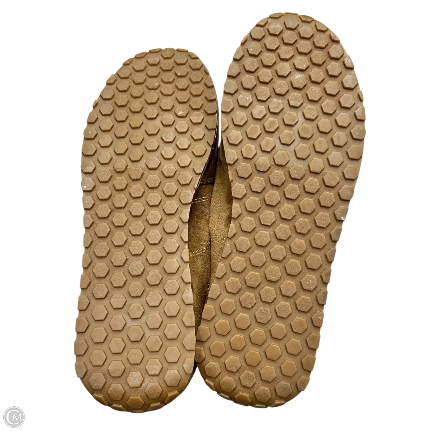 Shoes Sneakers By Madden Girl In Brown & White, Size: 8