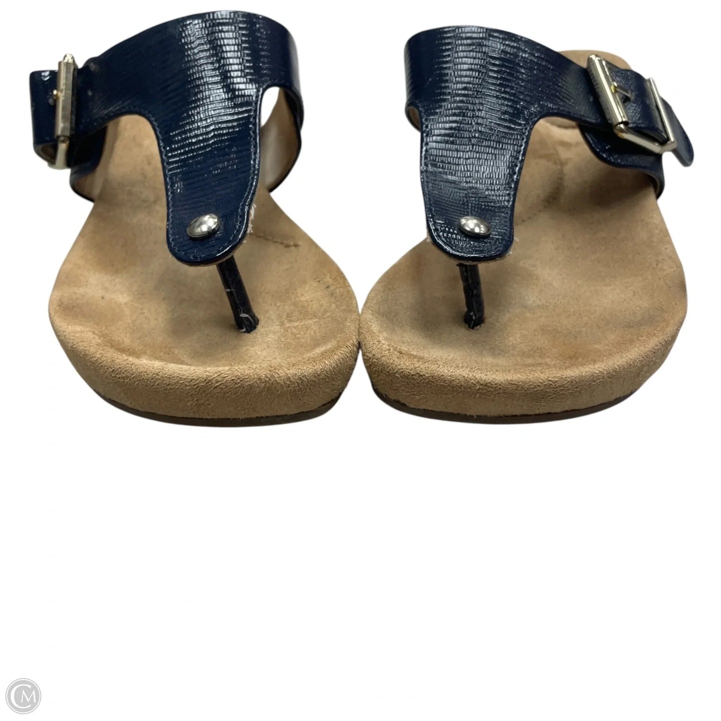 Sandals Flip Flops By Giani Bernini In Navy, Size: 5.5