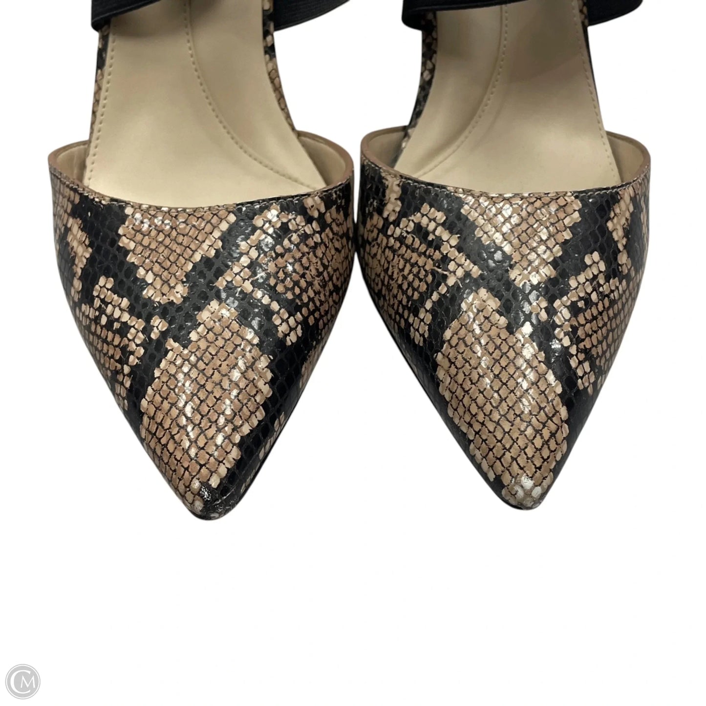 Shoes Heels Block By Cole-haan In Snakeskin Print, Size: 7