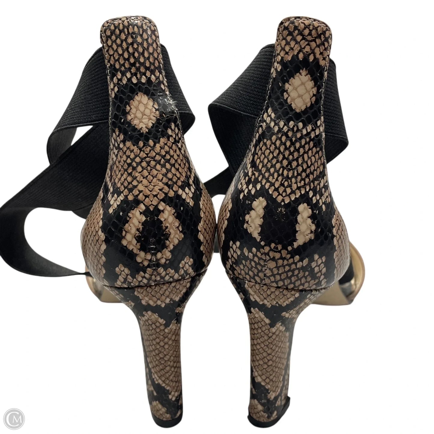 Shoes Heels Block By Cole-haan In Snakeskin Print, Size: 7