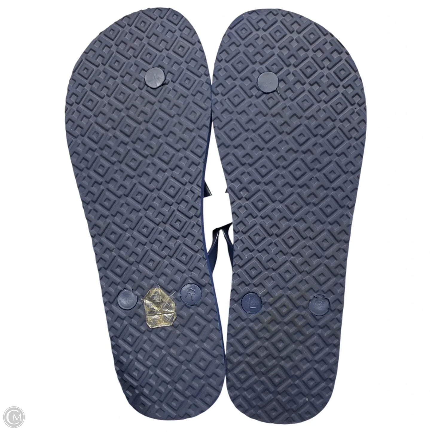 Sandals Designer By Tory Burch In Black & Blue, Size: 9