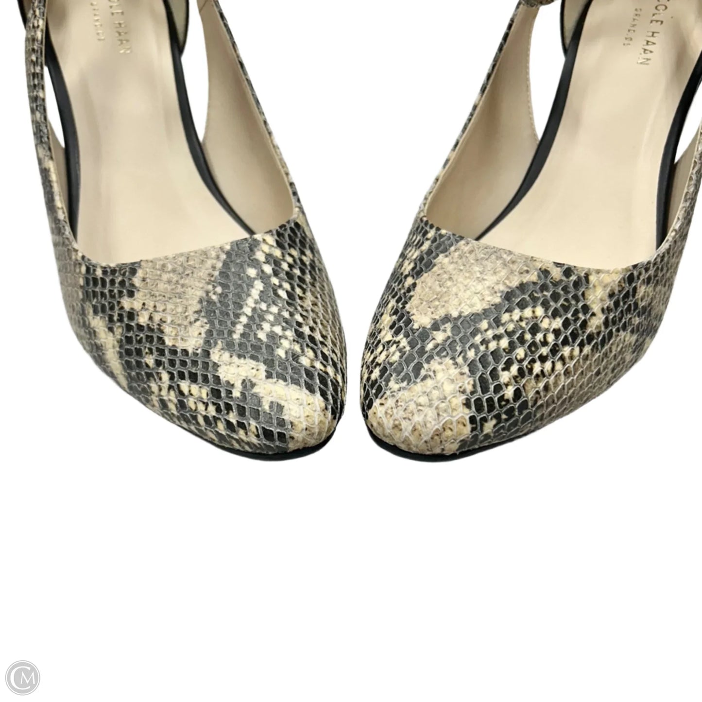 Shoes Heels Wedge By Cole-haan In Snakeskin Print, Size: 8.5