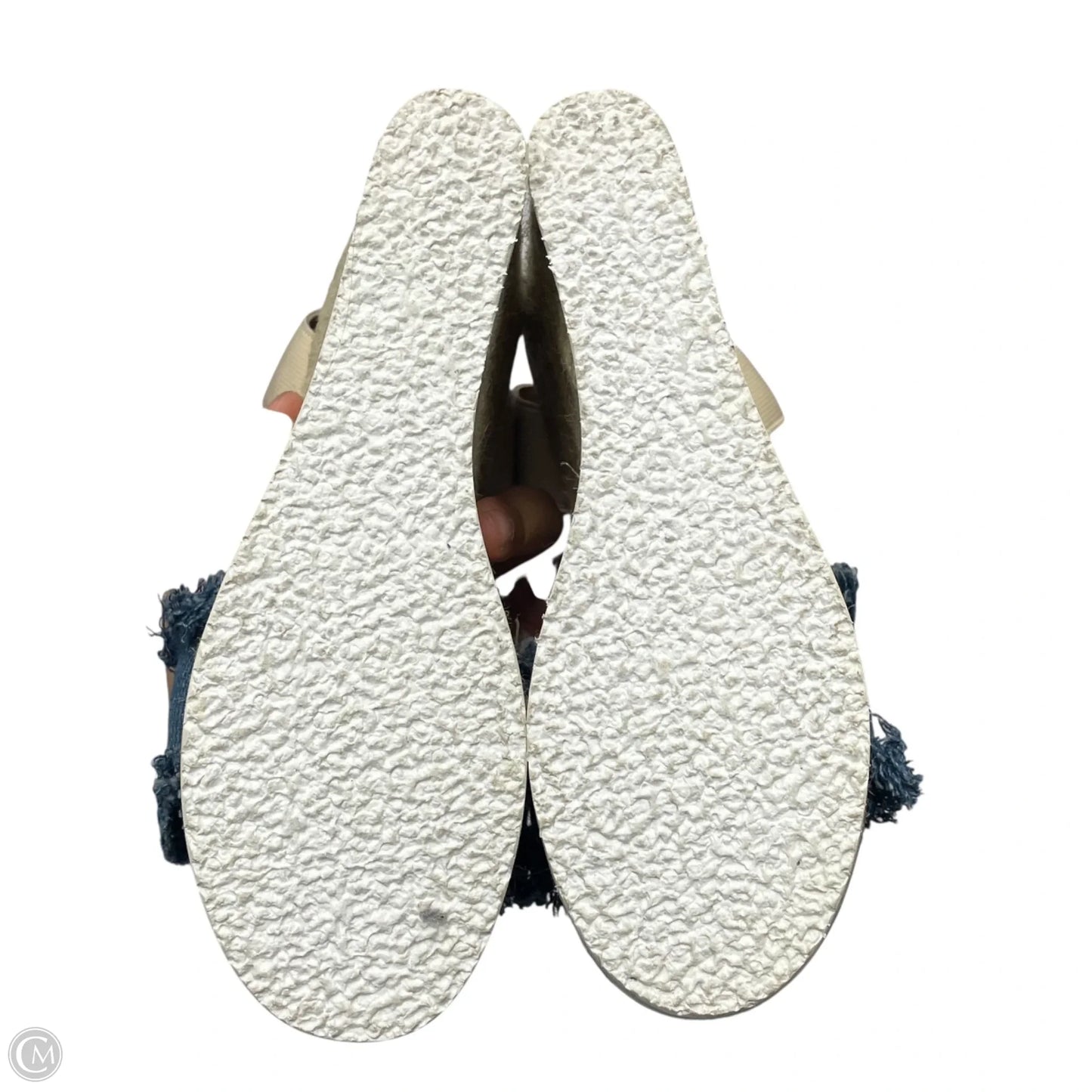 Sandals Heels Wedge By Steve Madden In Blue & Cream, Size: 7.5