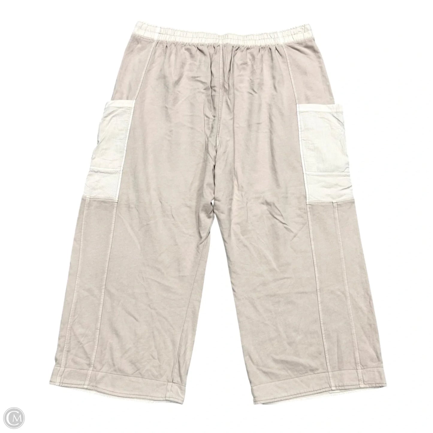 Pants Cargo & Utility By Torrid In Mauve, Size: 4x