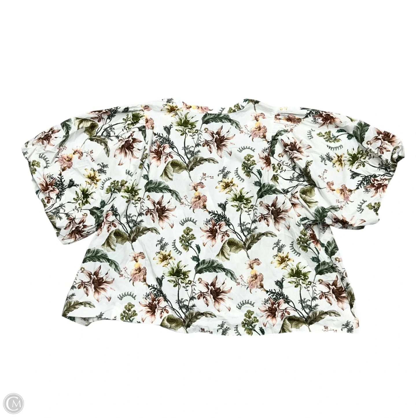 Top Short Sleeve By Anthropologie In Green & White, Size: 3x