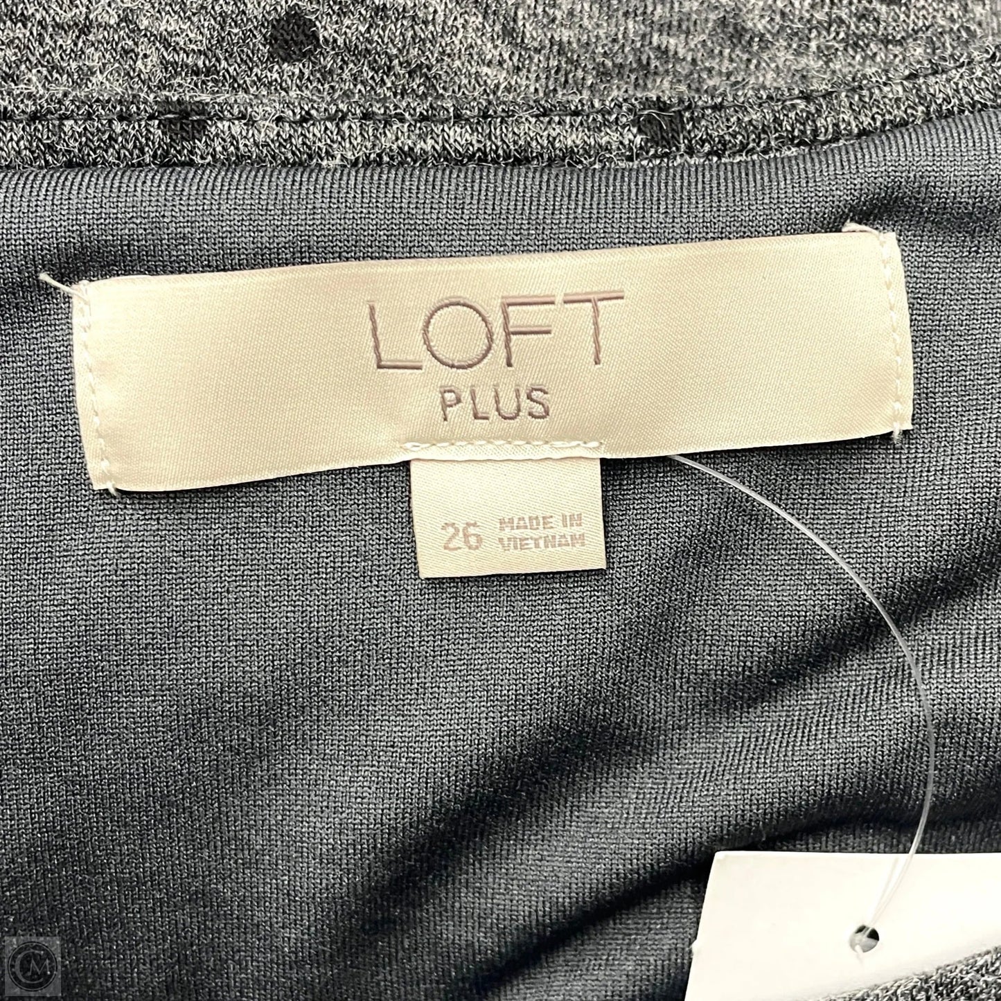 Dress Casual Short By Loft In Grey, Size: 4x