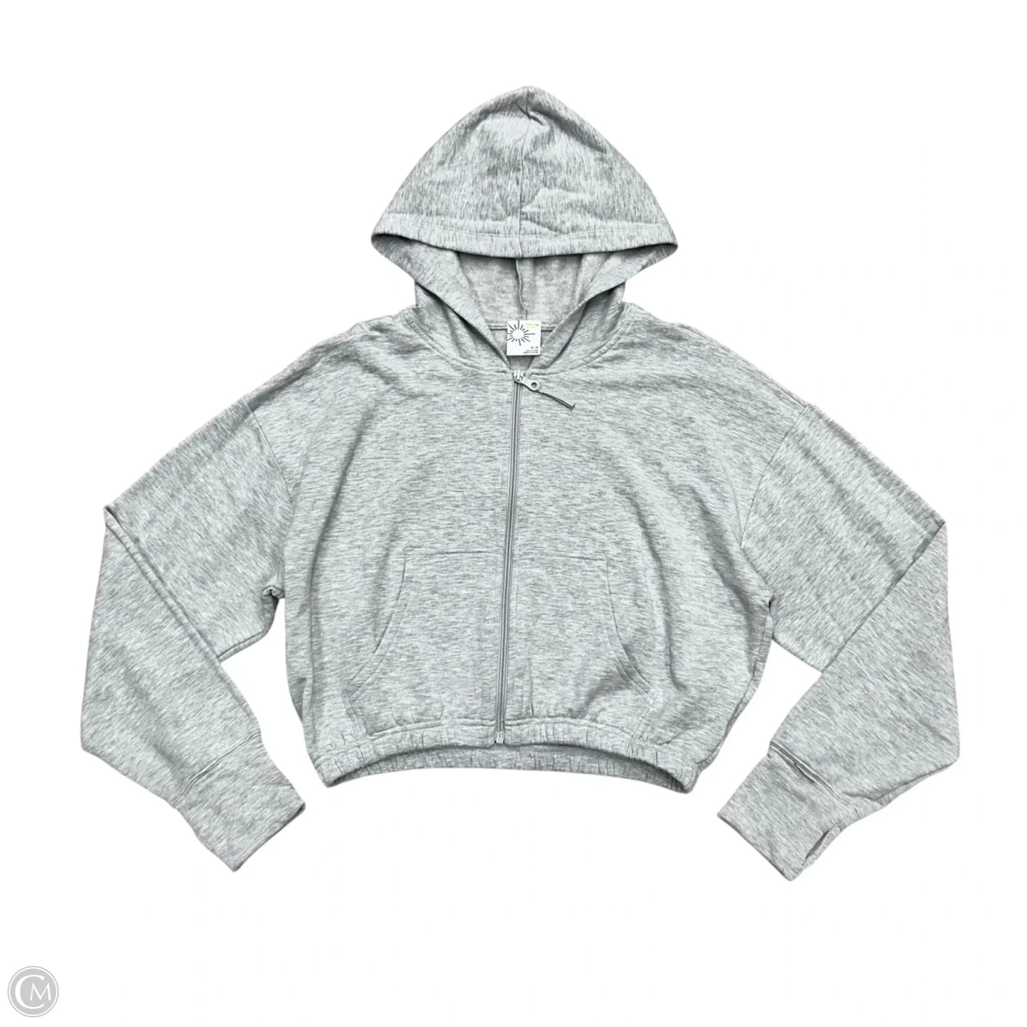 Sweatshirt Hoodie By Aerie In Grey, Size: M