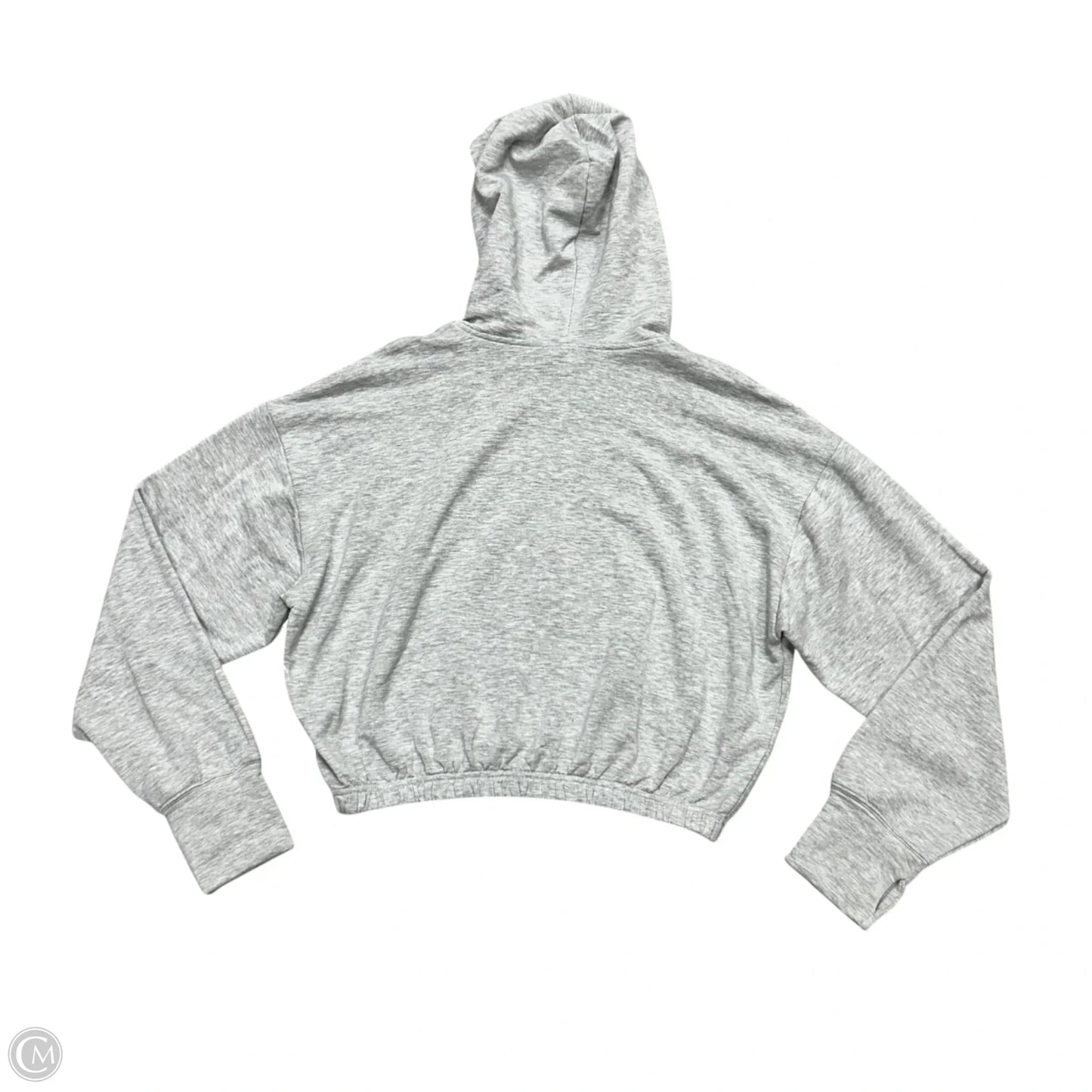 Sweatshirt Hoodie By Aerie In Grey, Size: M