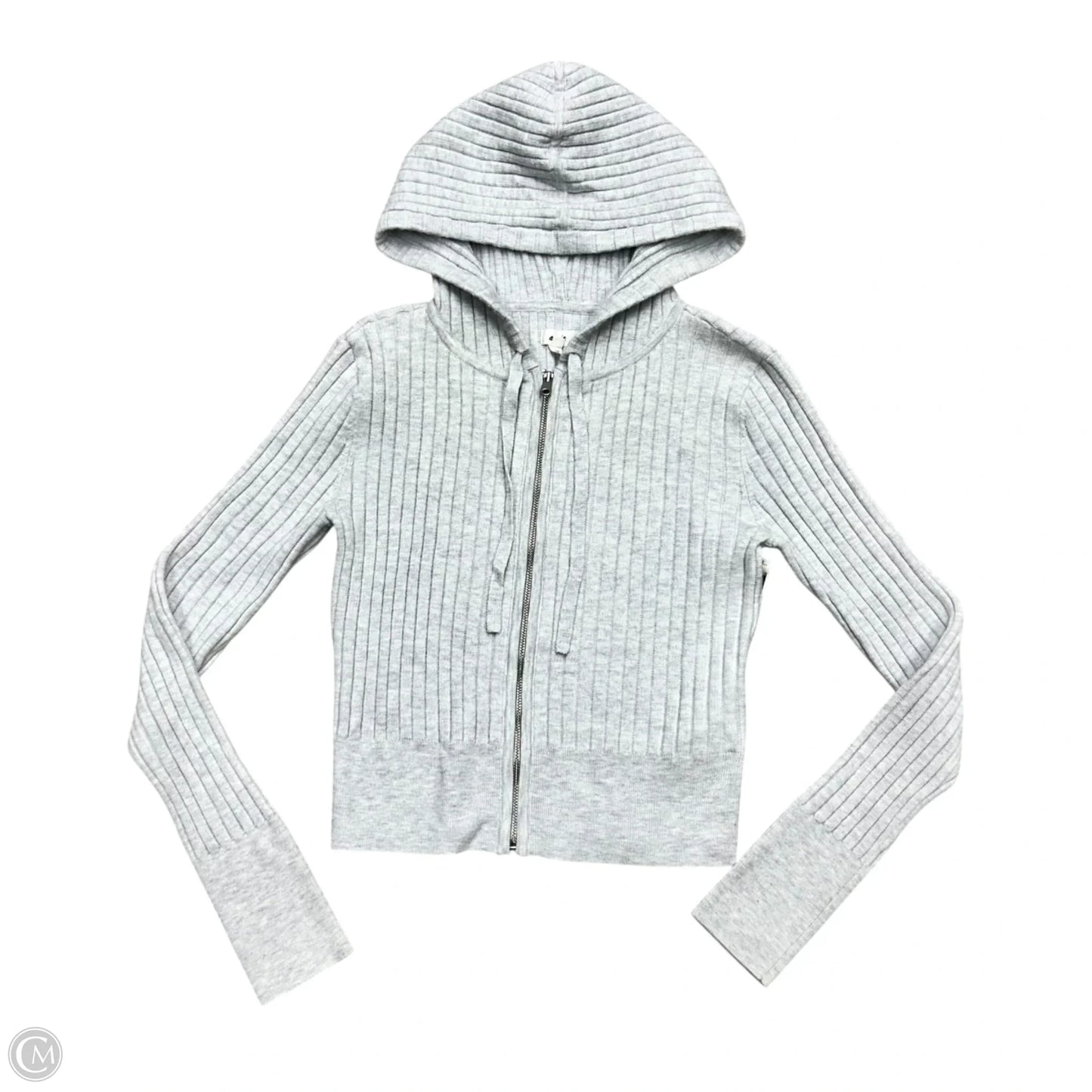 Sweatshirt Hoodie By Aerie In Grey, Size: M